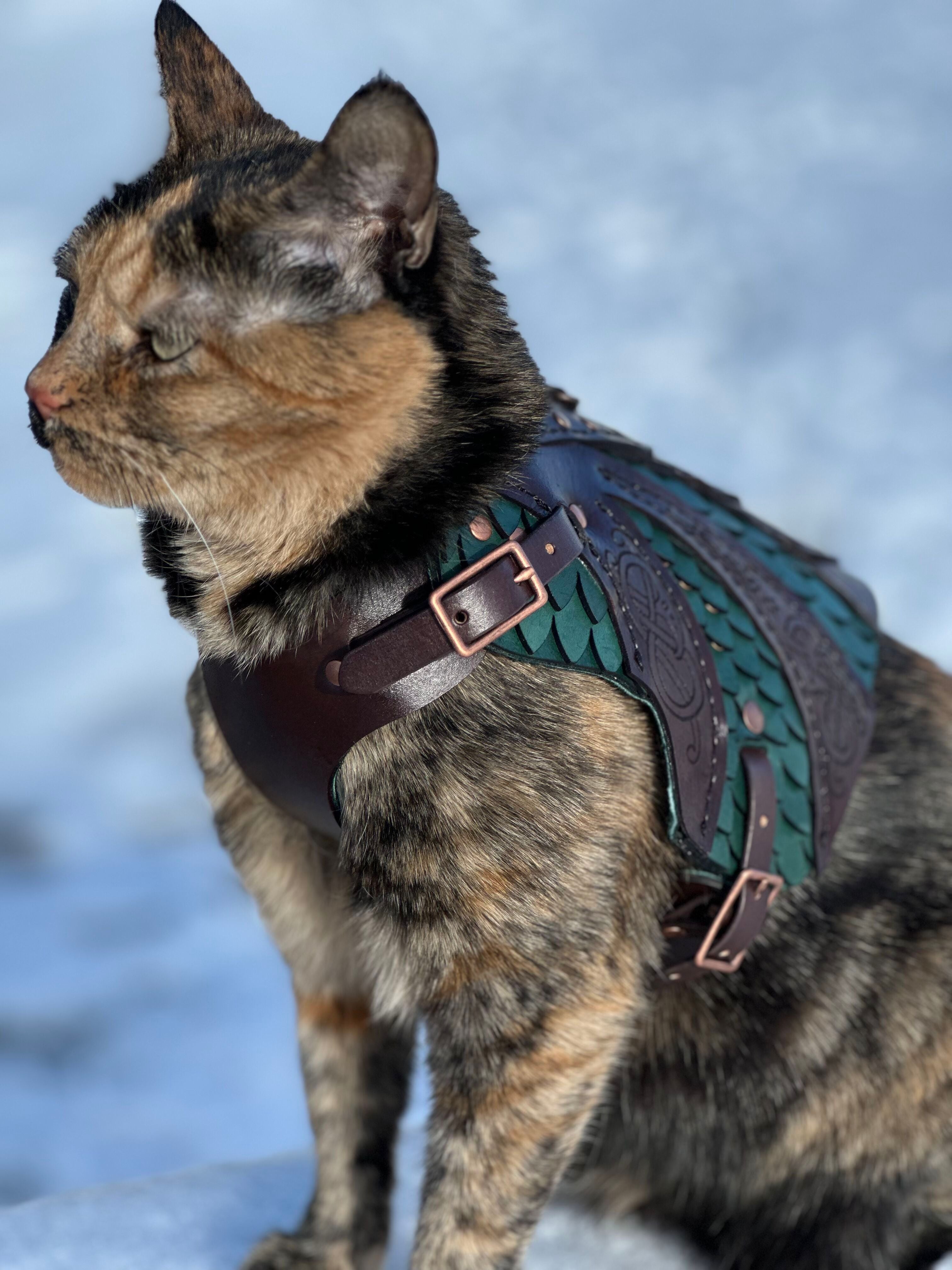 Cat Armors – Arcane Armory & Relics