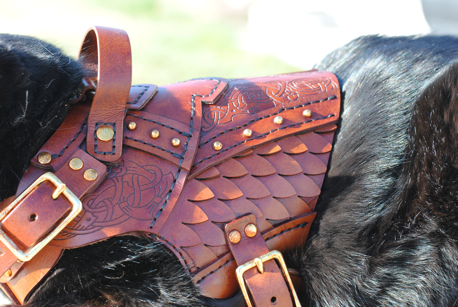 Frigga Leather Cat Armor