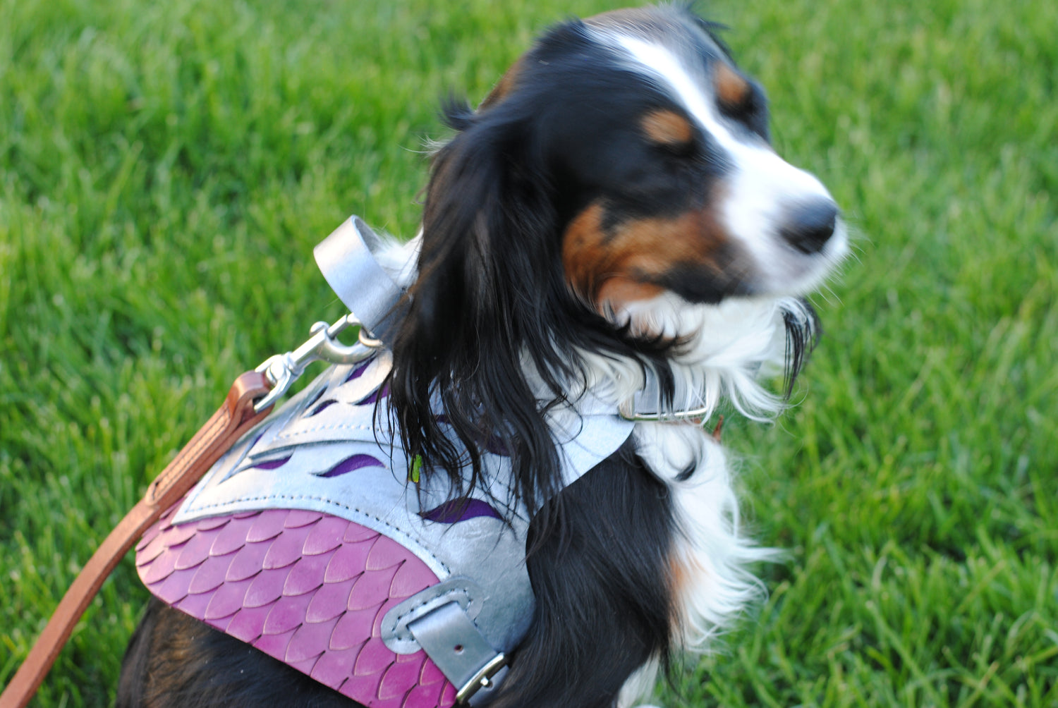Nytheris Leather Dog Armor Harness