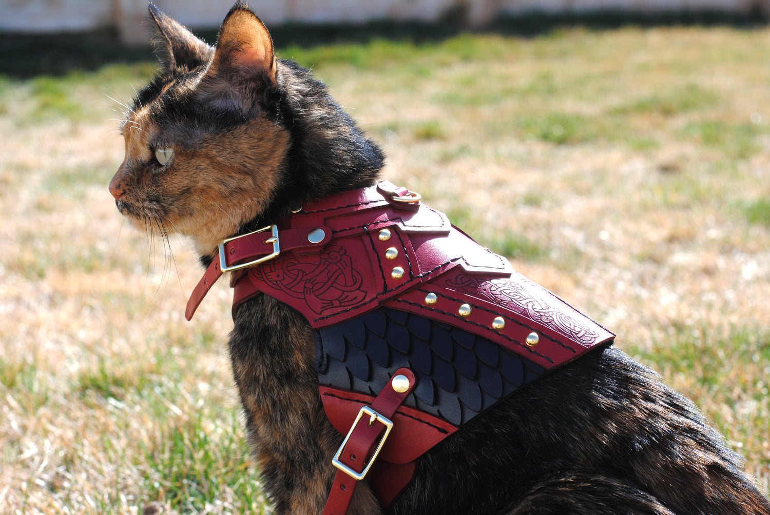Frigga Leather Cat Armor
