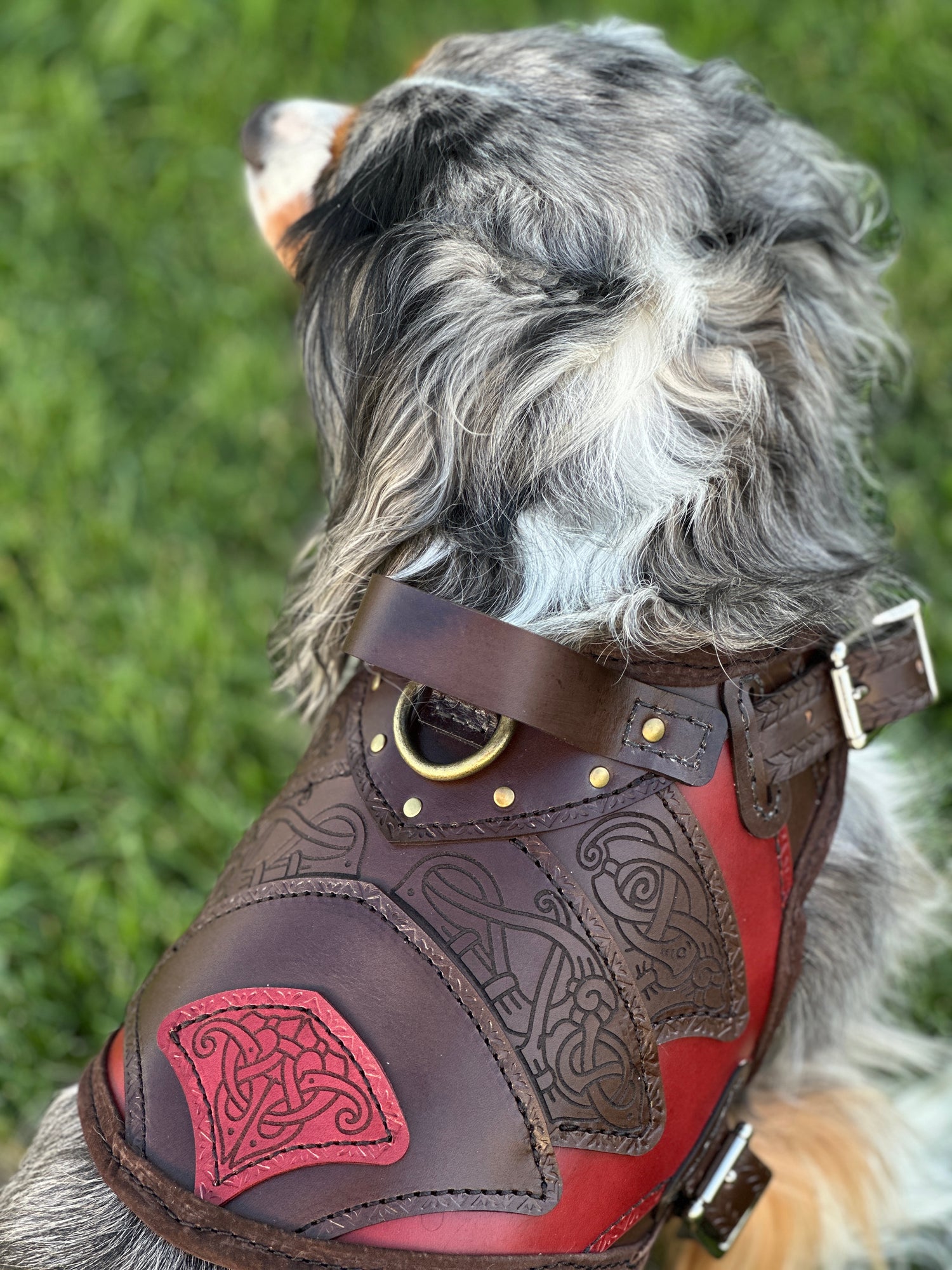 Njord Leather Dog Harness Armor