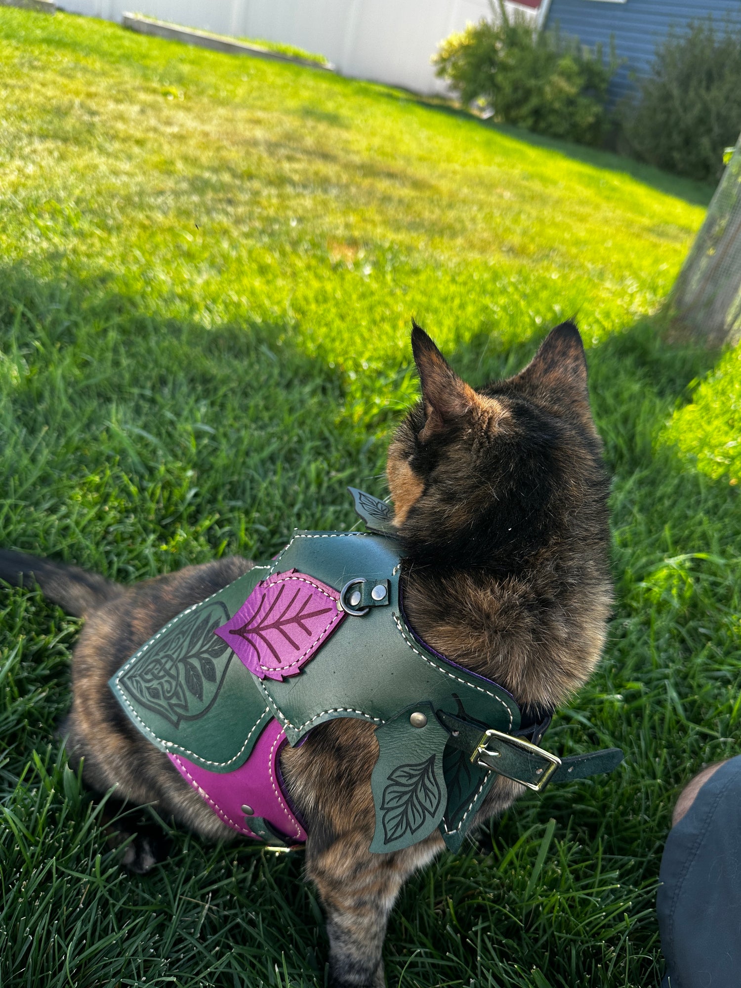 Wyrmwood Cat Fairy Saddle