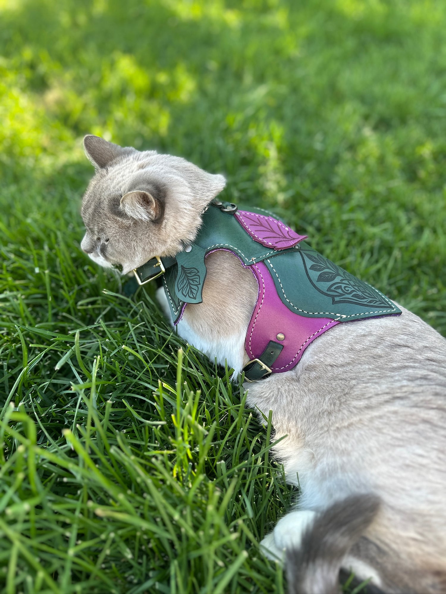 Wyrmwood Cat Fairy Saddle