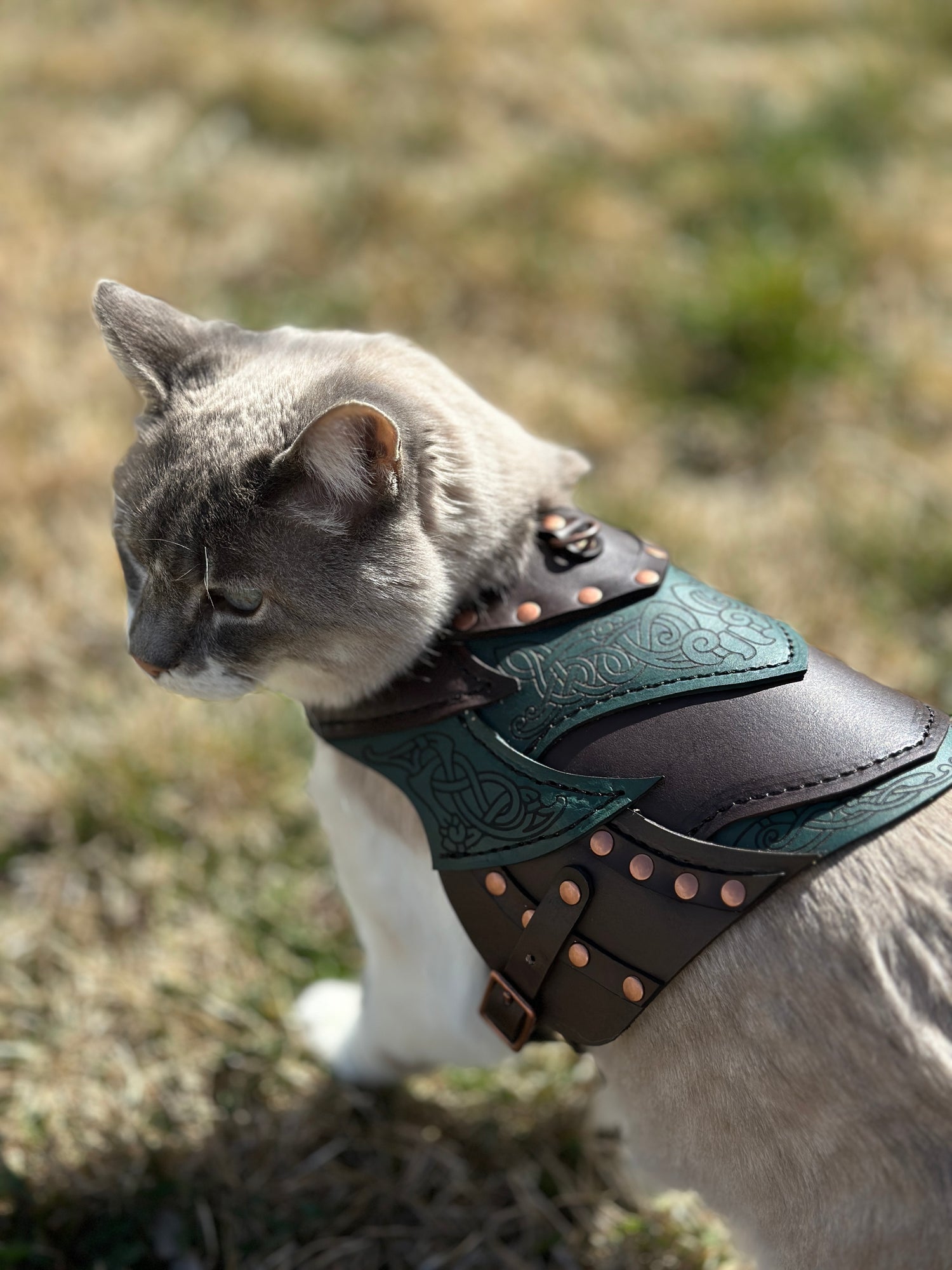 Loki Leather Cat Armor