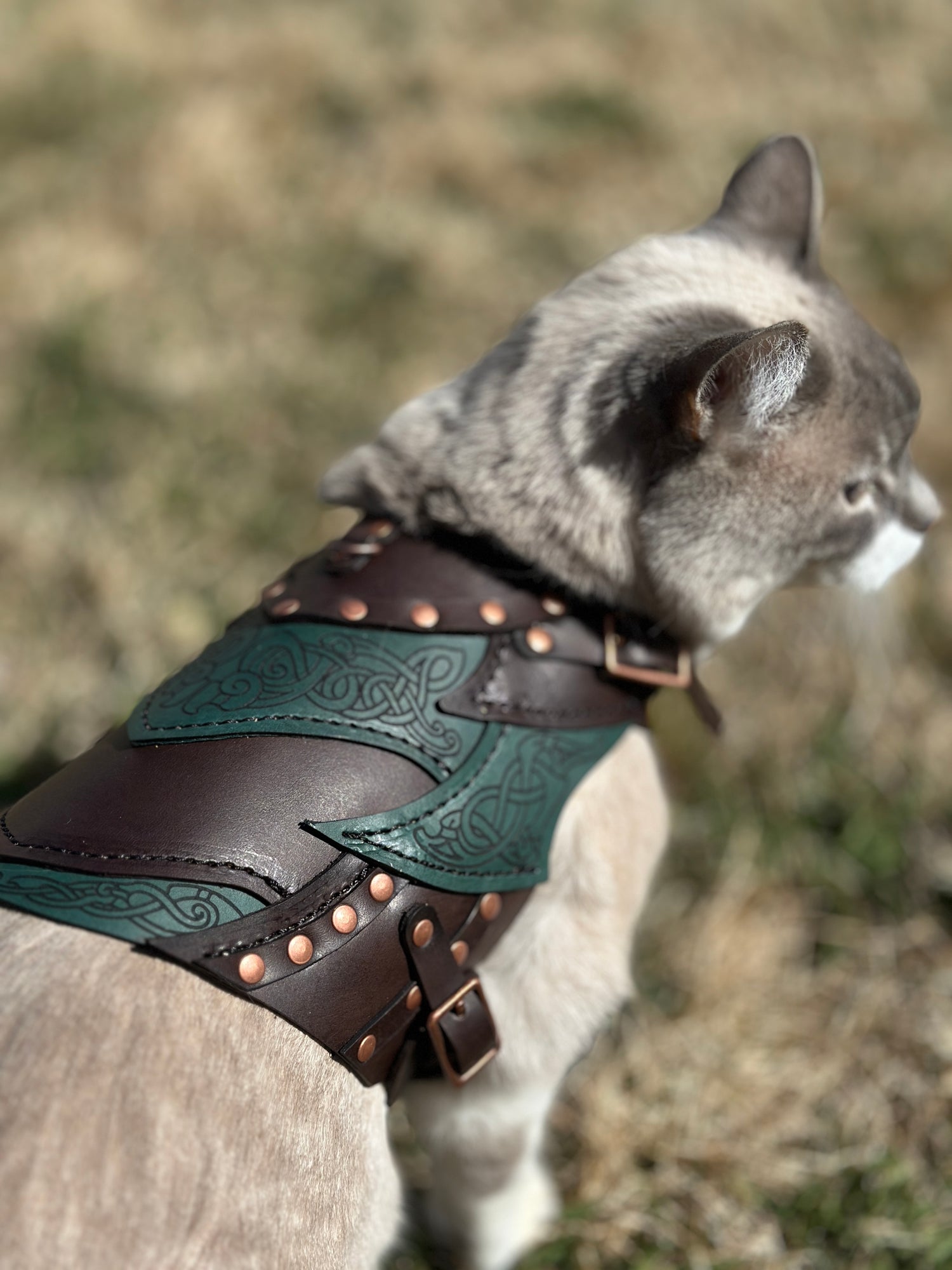 Loki Leather Cat Armor