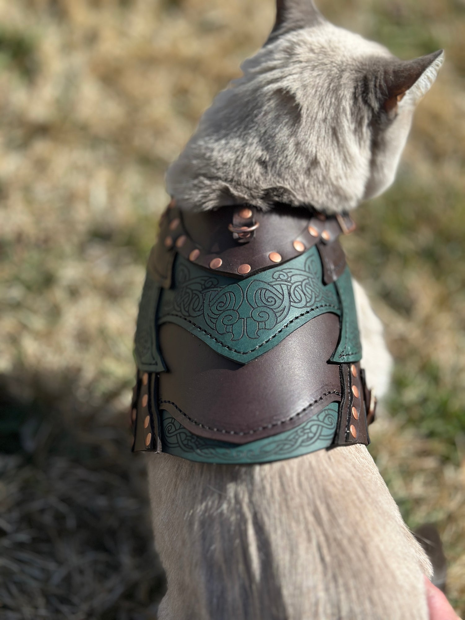 Loki Leather Cat Armor