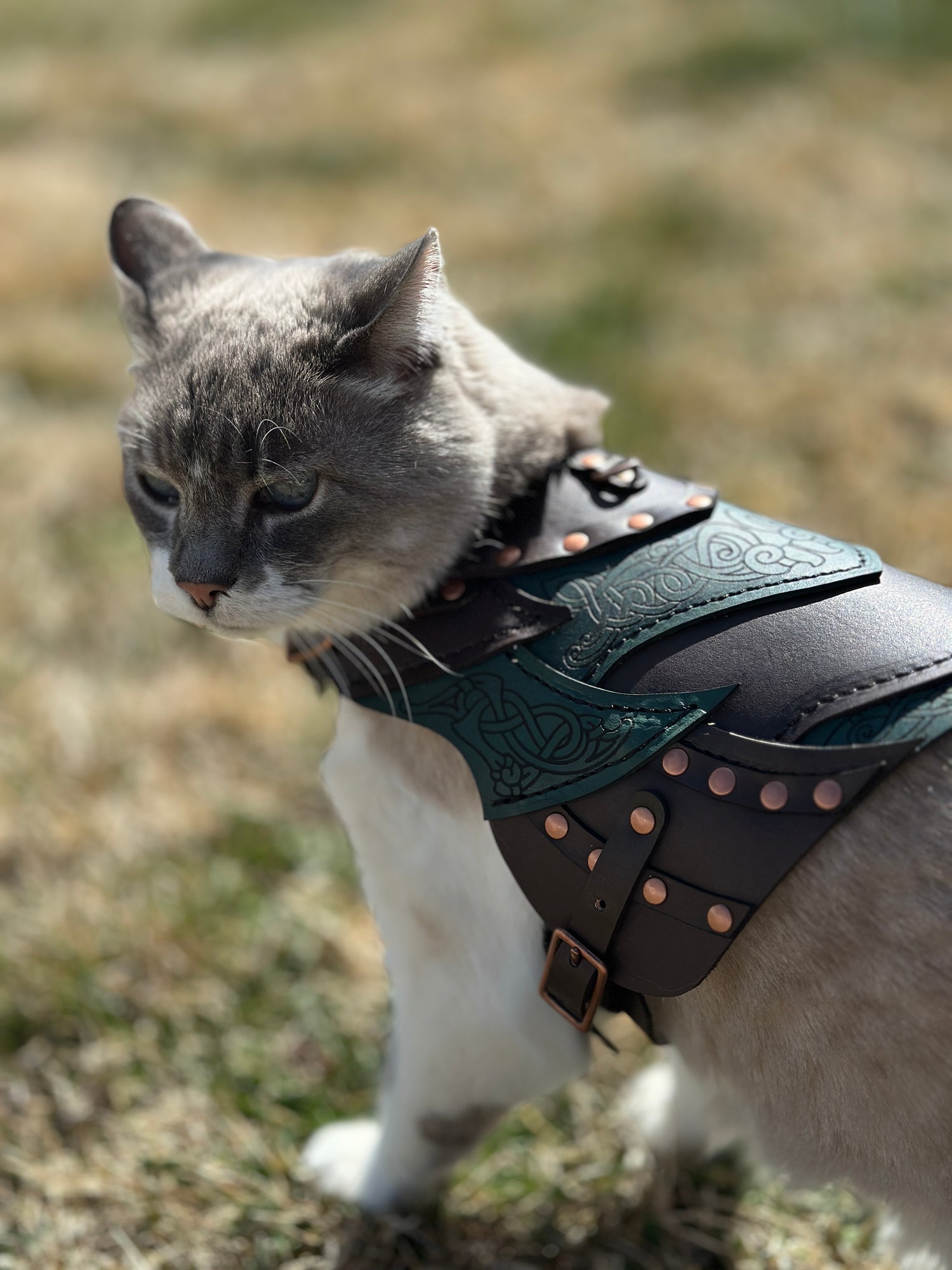 Loki Leather Cat Armor