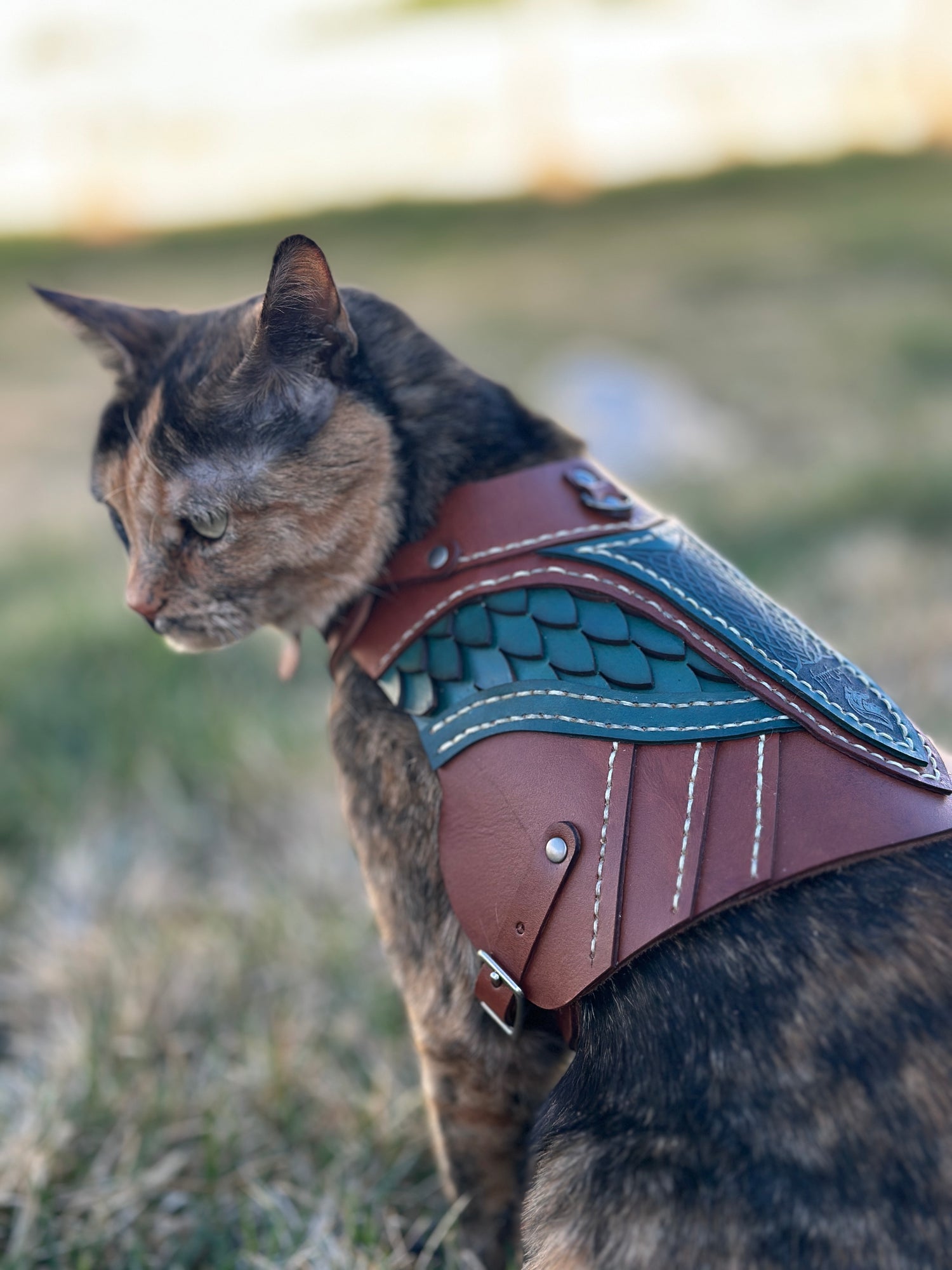Brimstar Leather Cat Armor