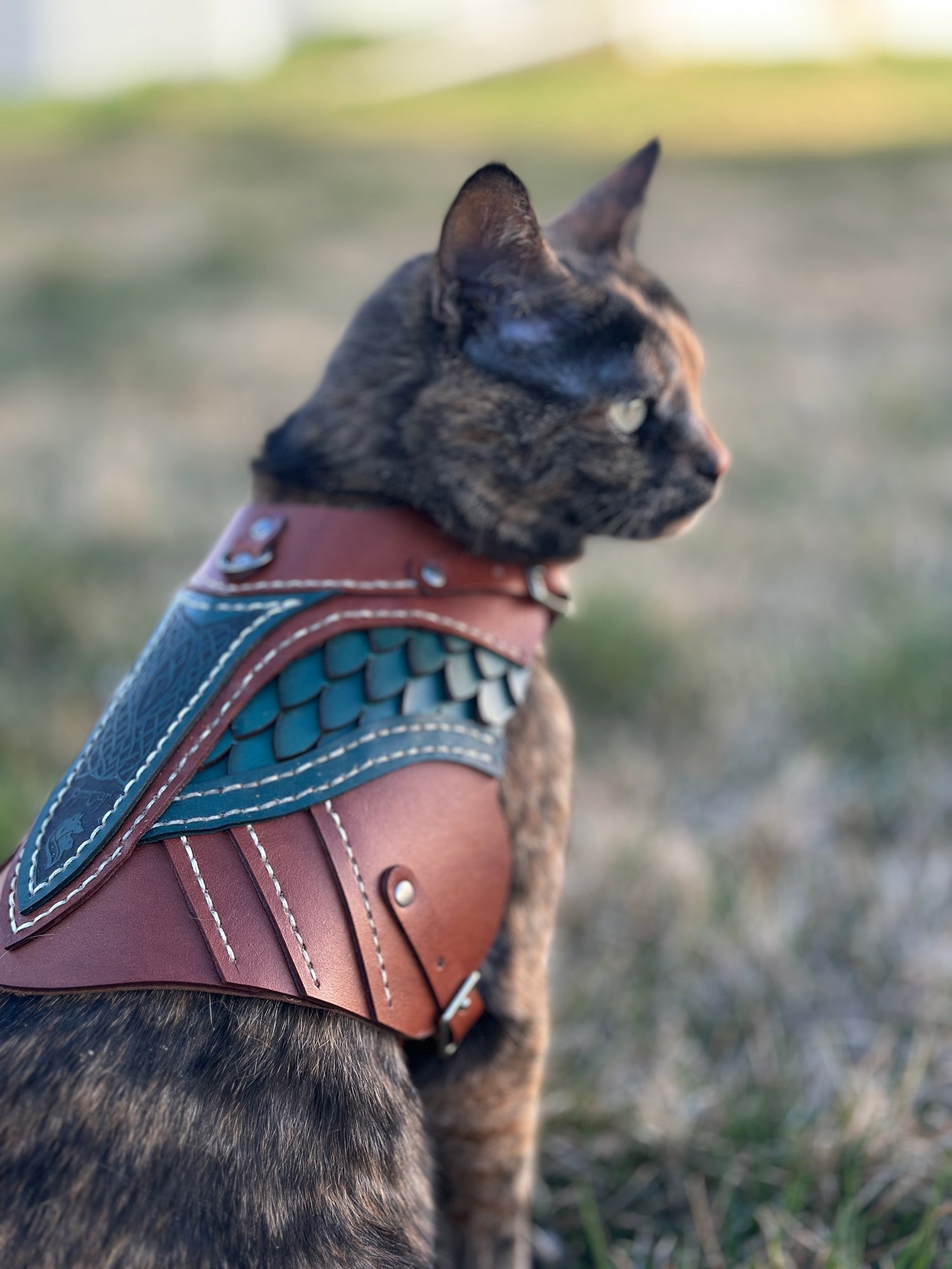 Brimstar Leather Cat Armor