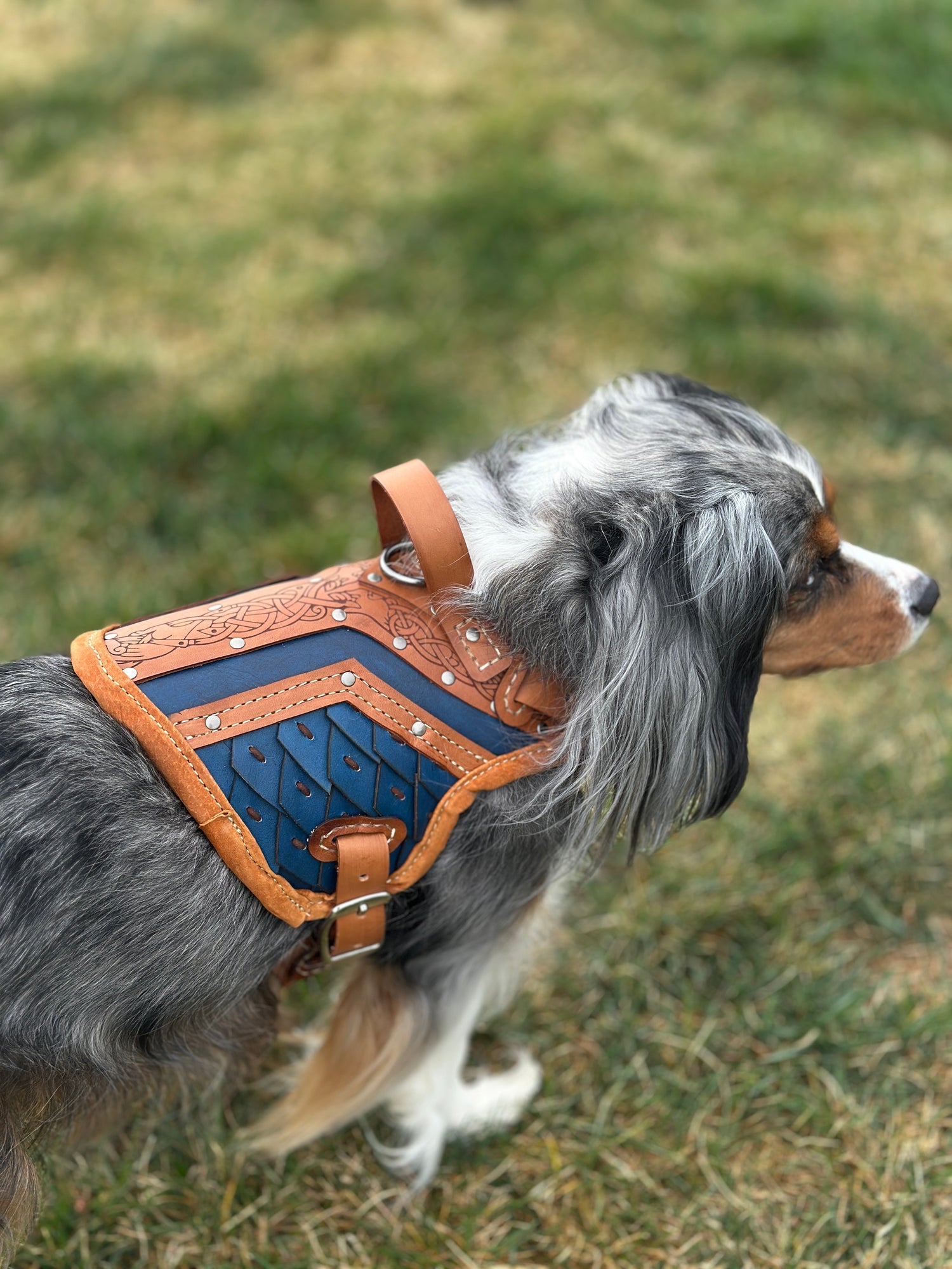 Ulfrik Leather Dog Armor Harness