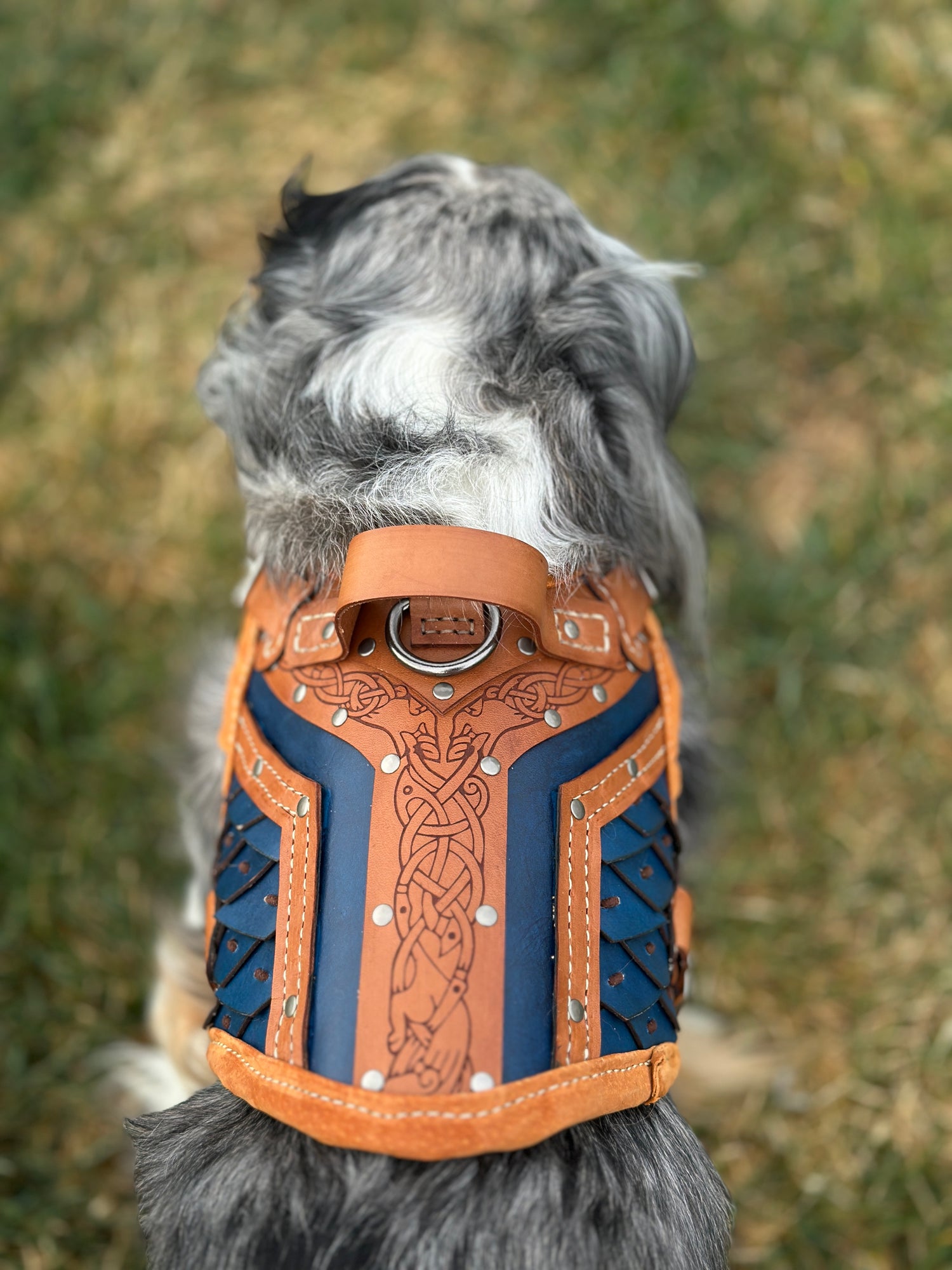 Ulfrik Leather Dog Armor Harness