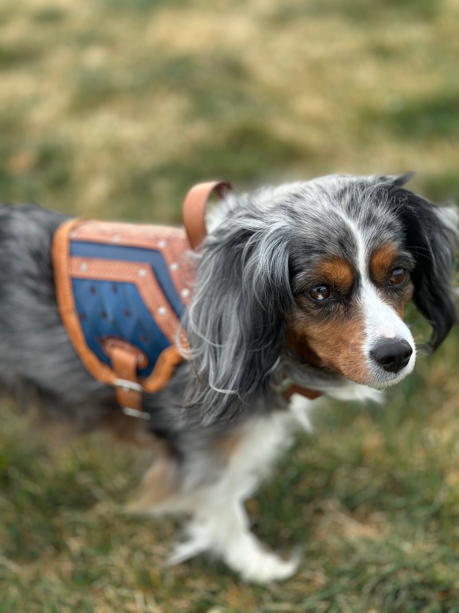 Ulfrik Leather Dog Armor Harness