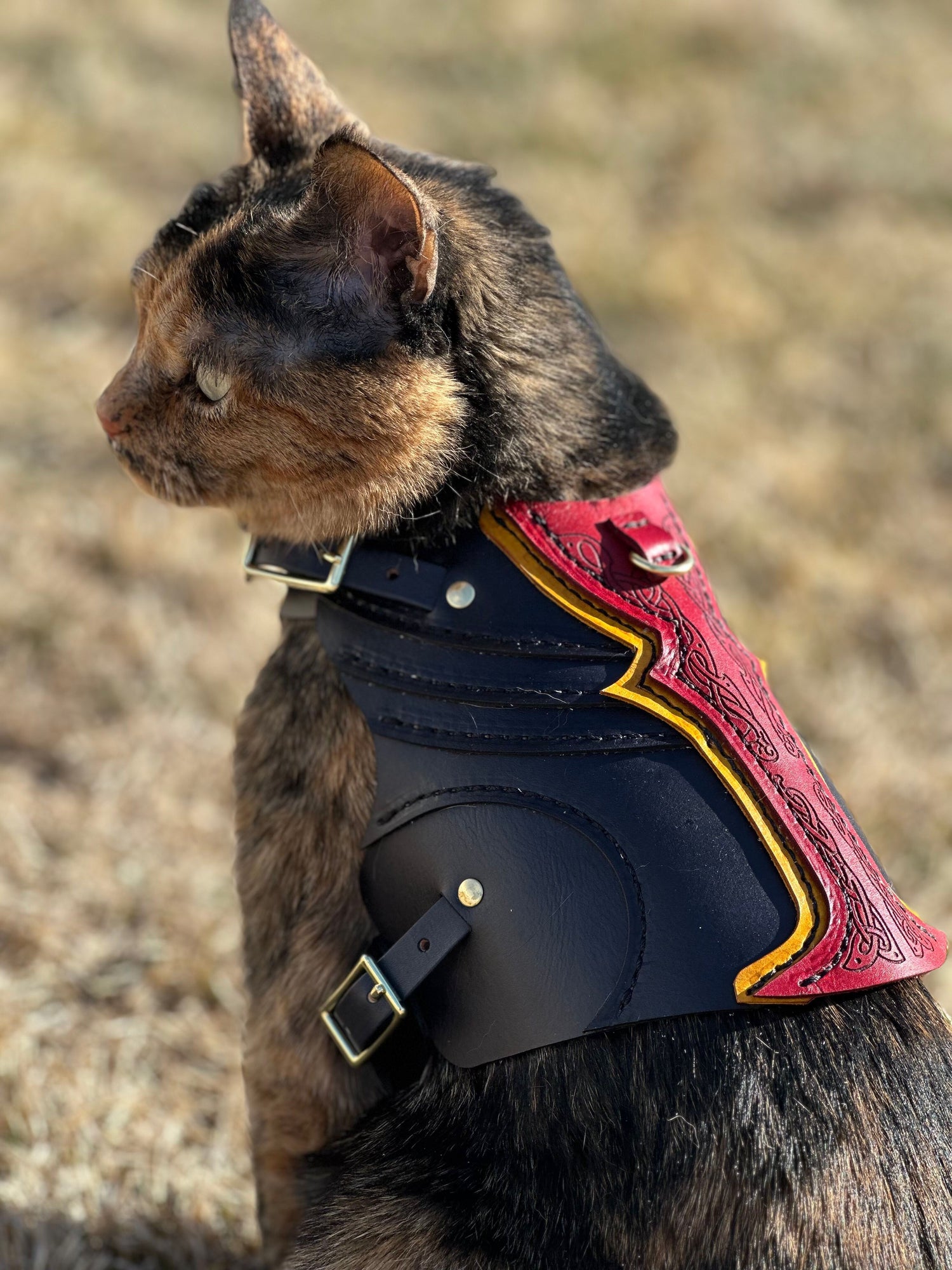 Leif Leather Cat Harness