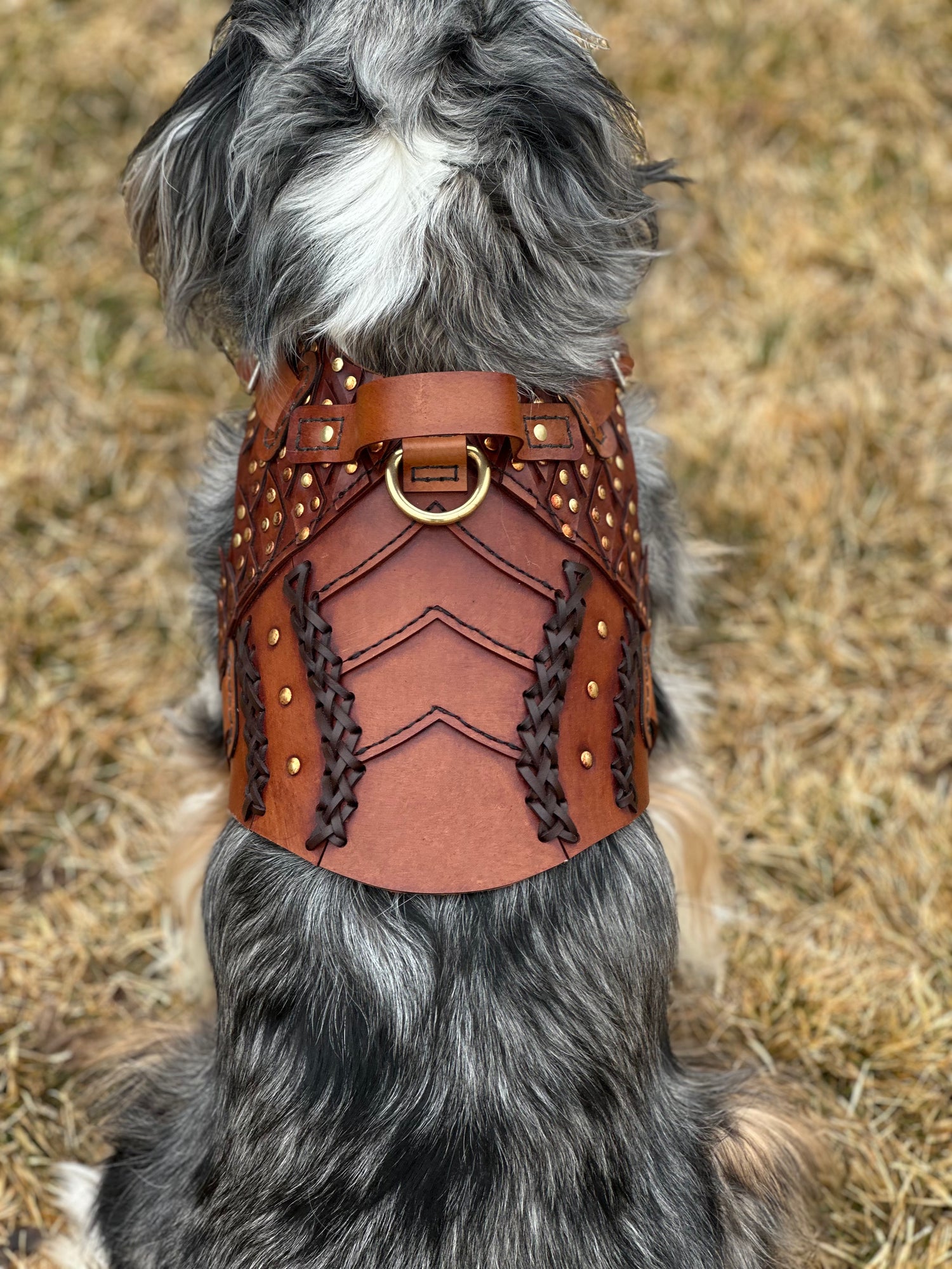Baldr Dog Armor Harness