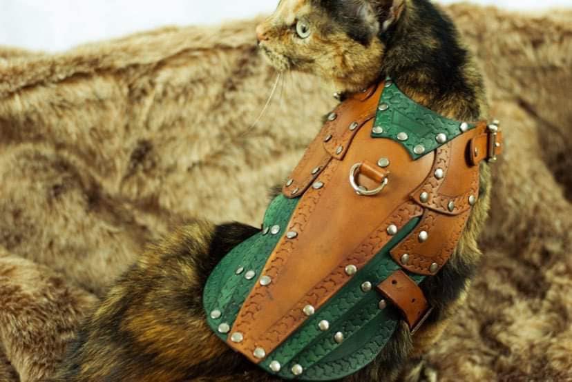 Maeve Leather Cat Armor, Harness