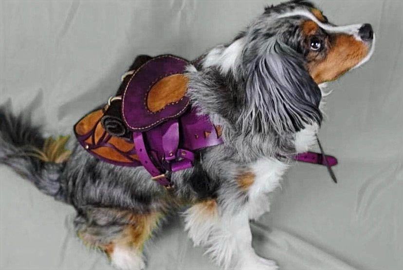 Dog Harness, Leather and Suede Fairy Saddle