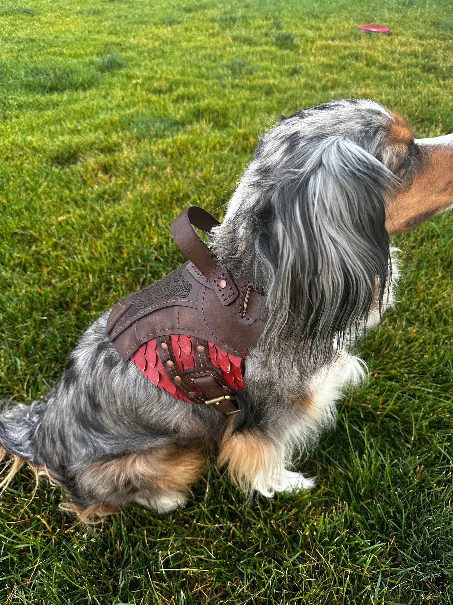 Heimdall Leather Dog Harness Armor