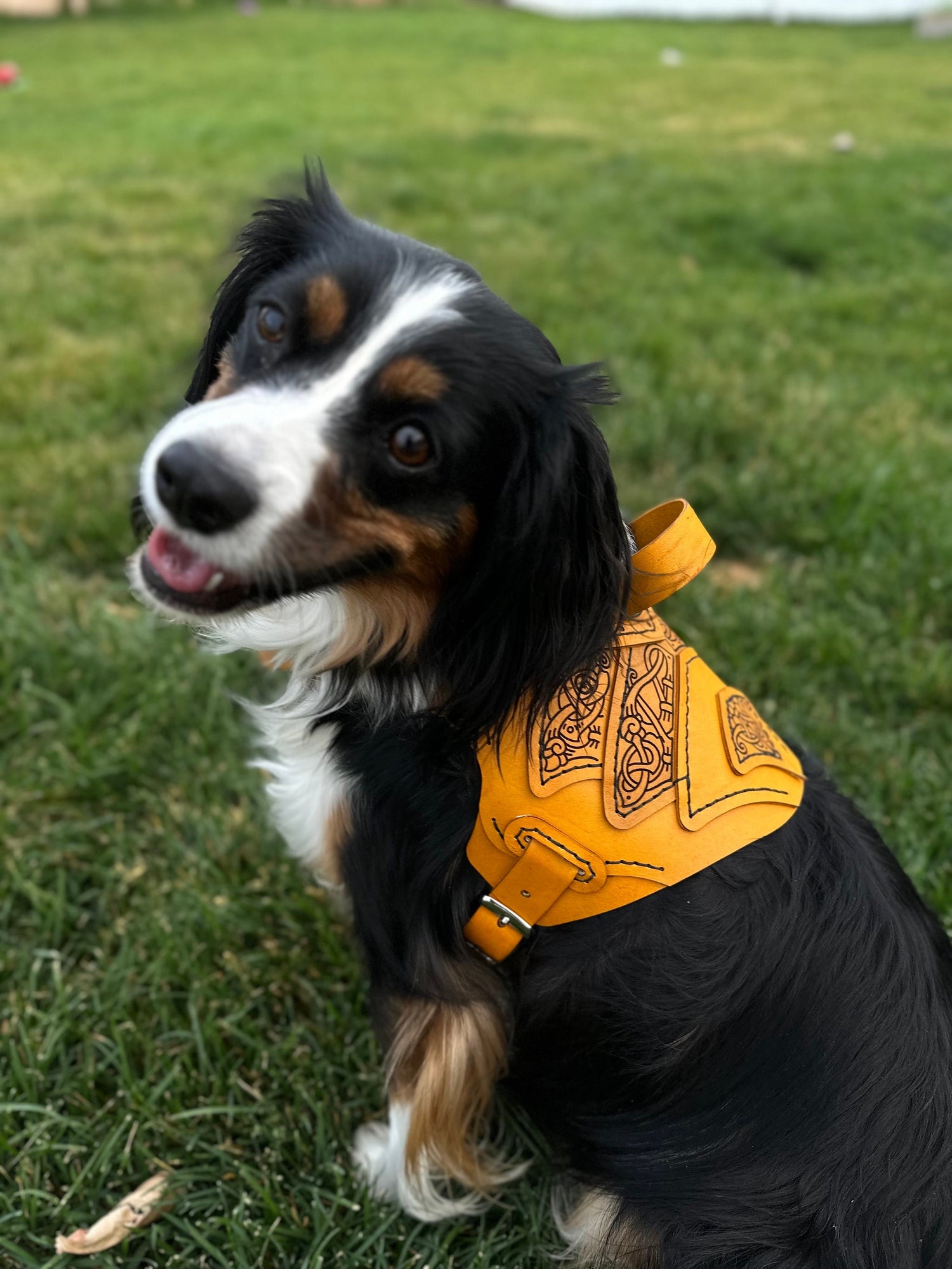 Njord Leather Dog Harness Armor