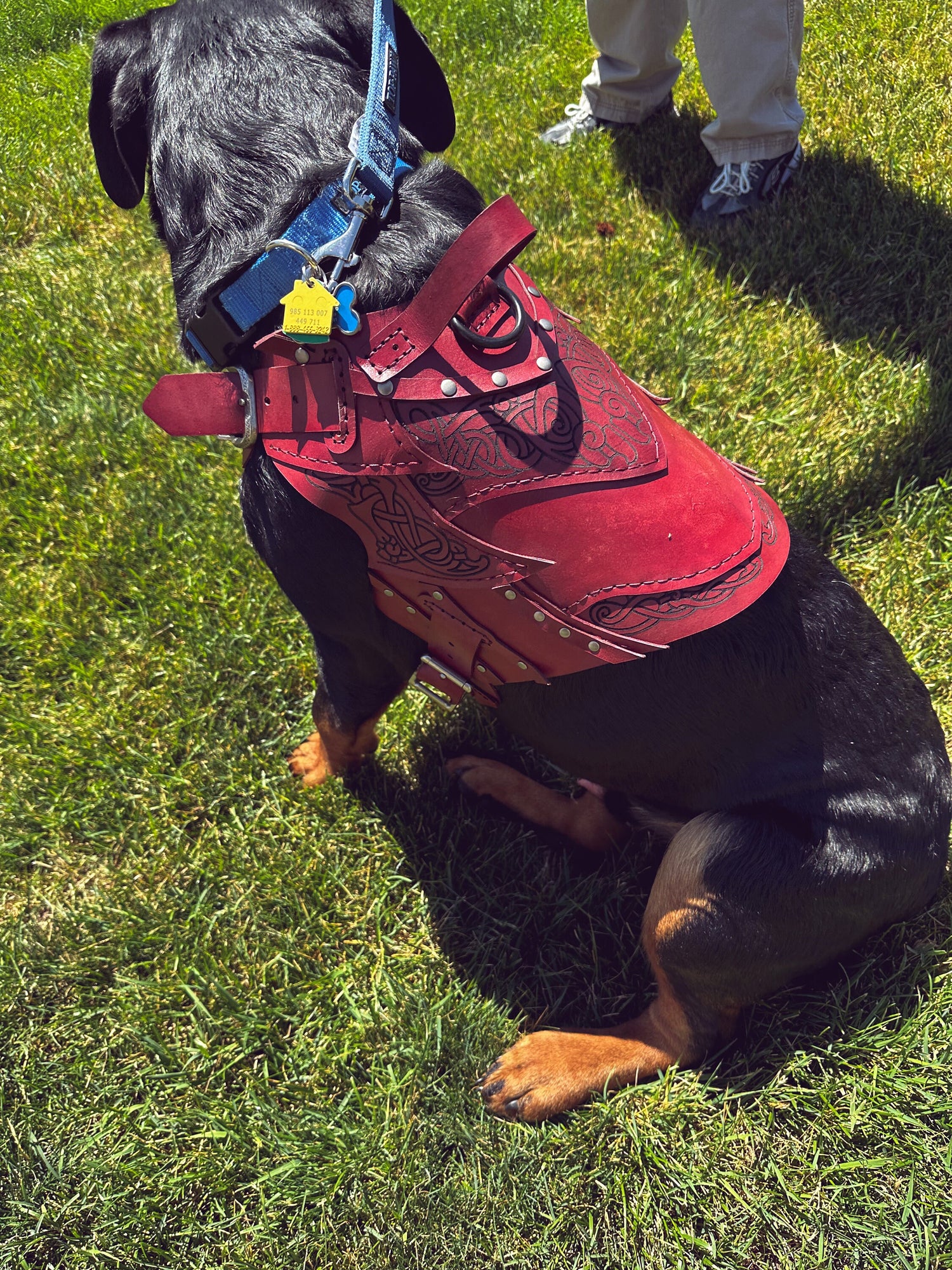 Loki Leather Dog Harness Armor
