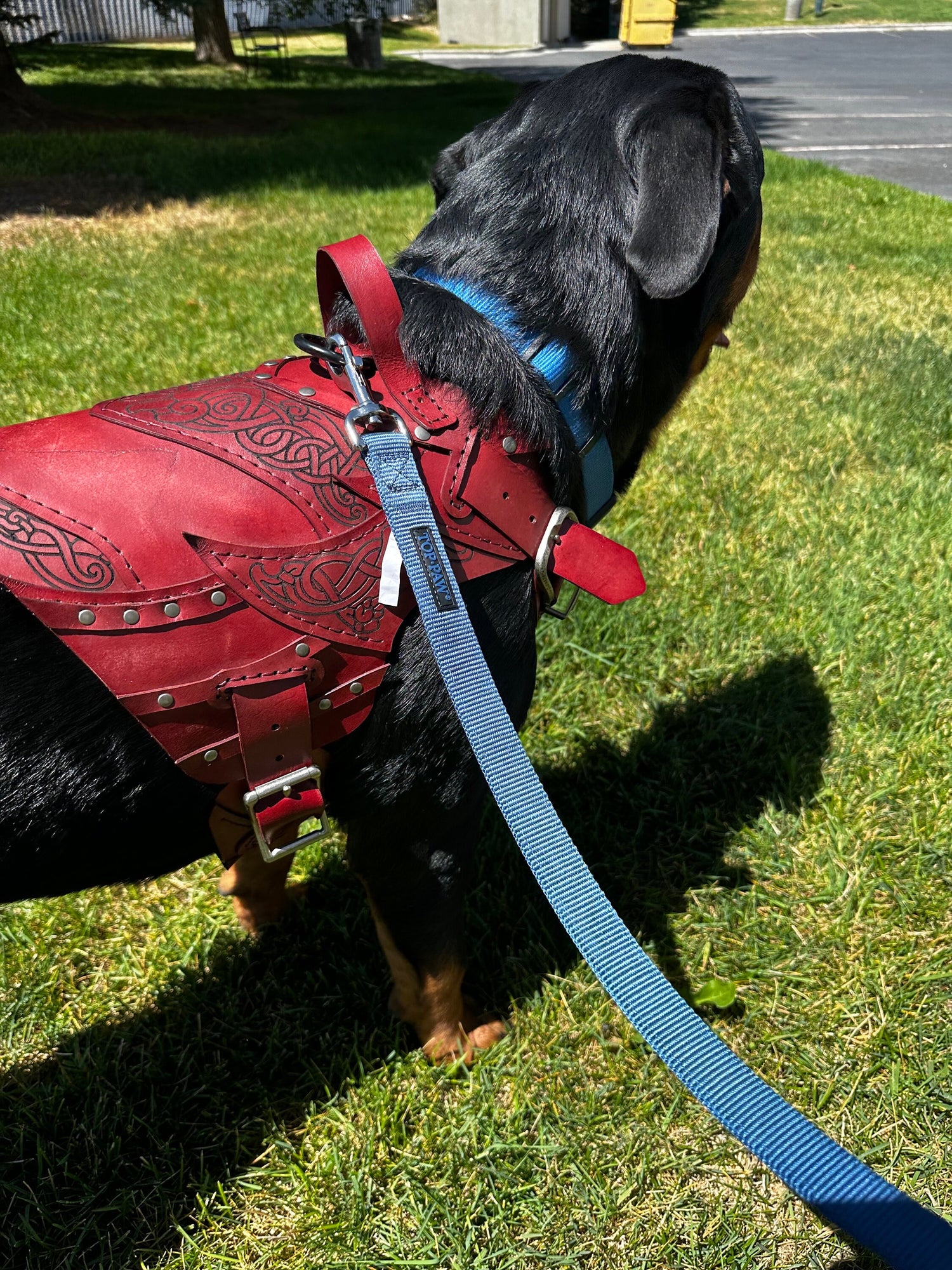 Loki Leather Dog Harness Armor