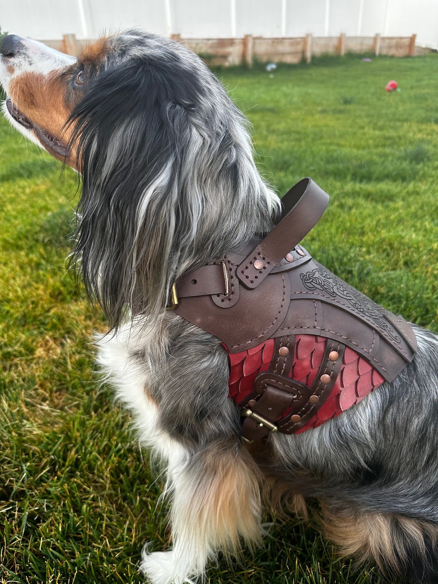 Heimdall Leather Dog Harness Armor