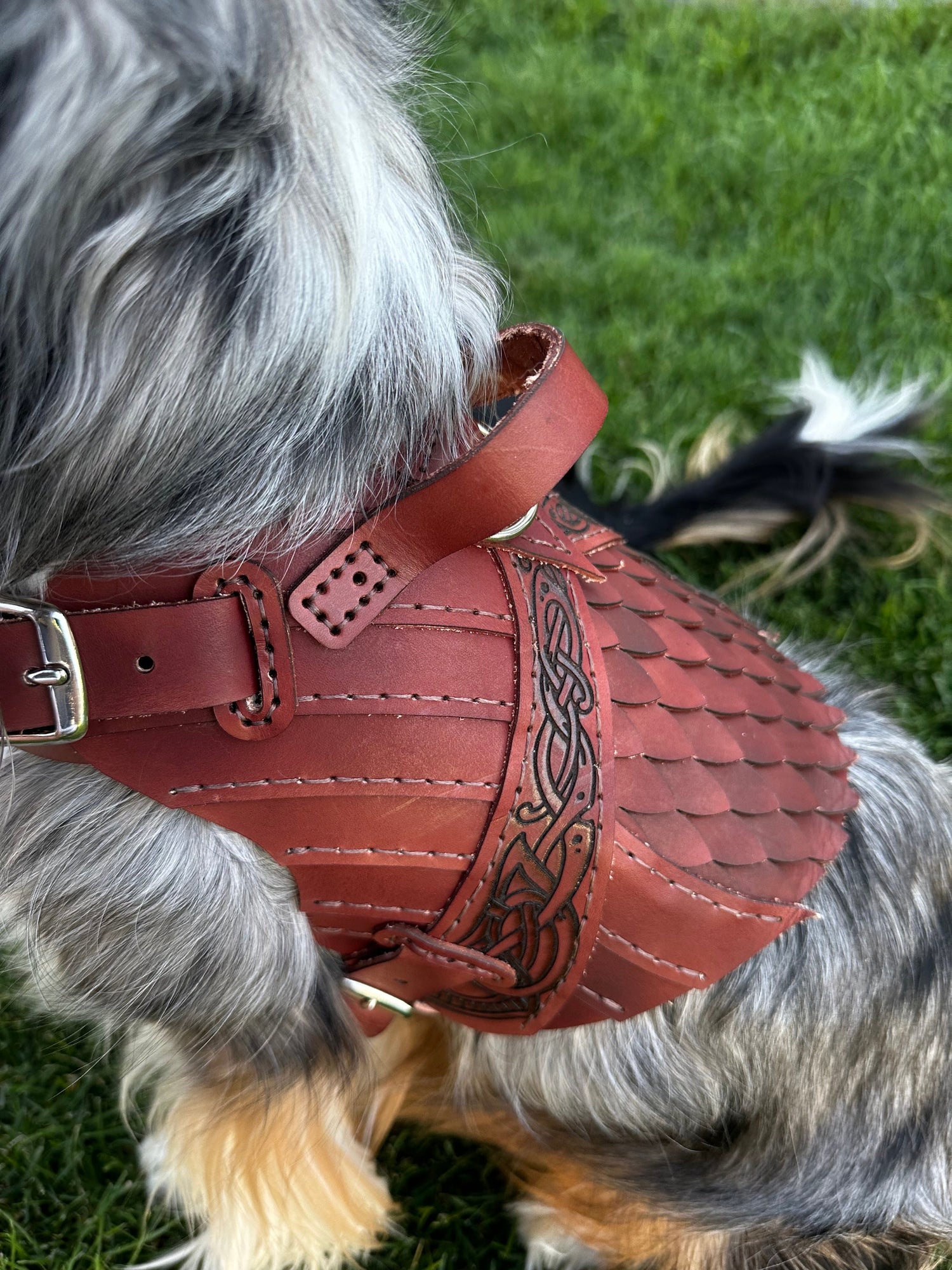 Erik Leather Dog Harness Armor