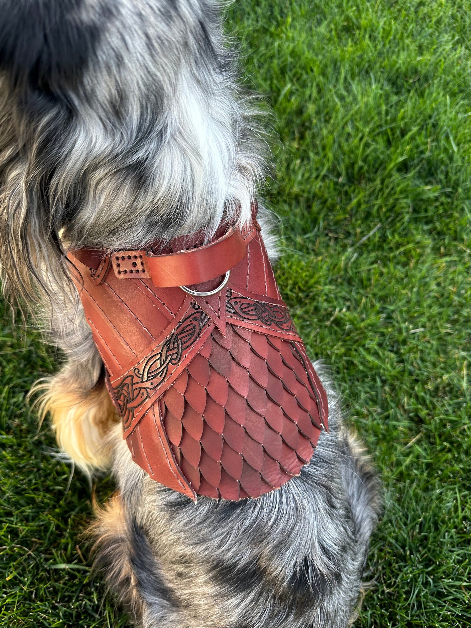 Erik Leather Dog Harness Armor