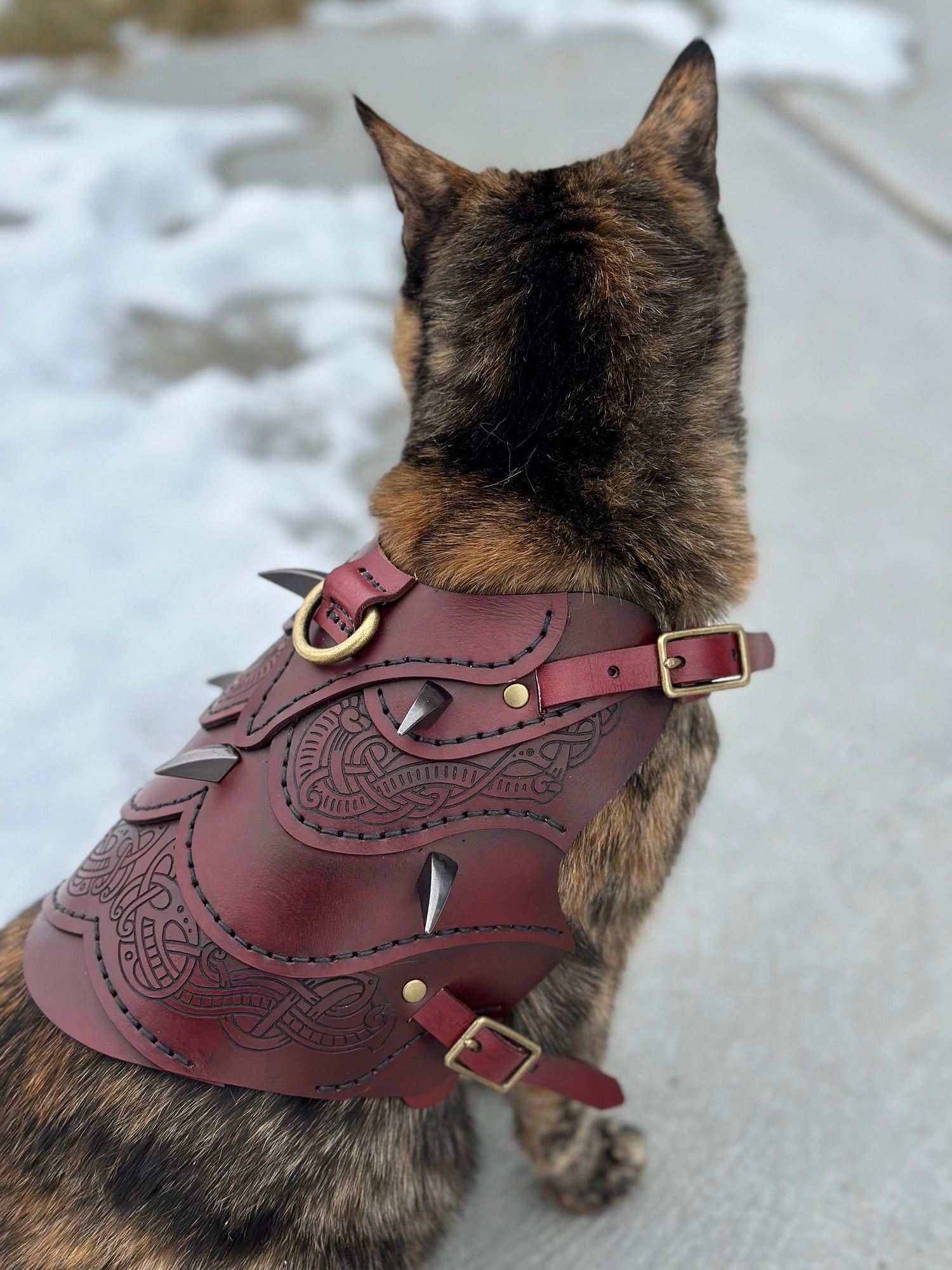 Floki Leather Cat Harness Armor