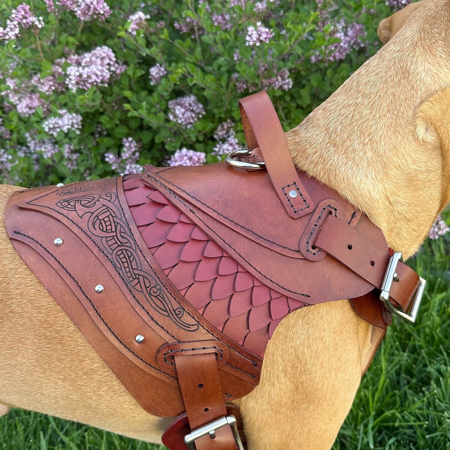 Rollo Leather Dog Harness Armor