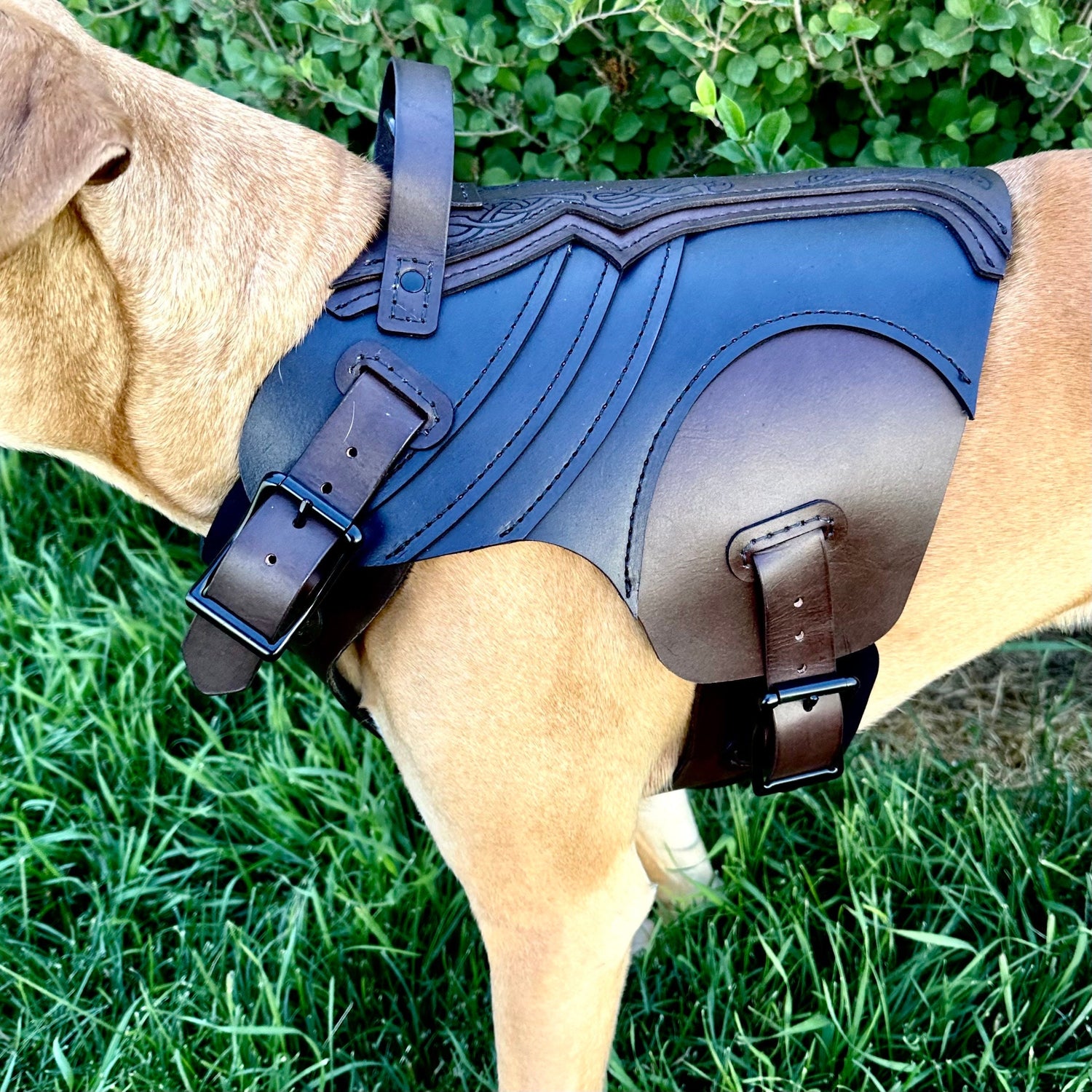 Leif Leather Dog Harness Armor