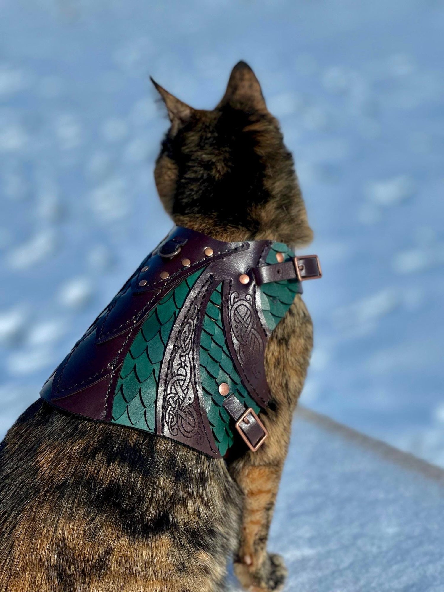 Olaf Leather CAT Harness Armor