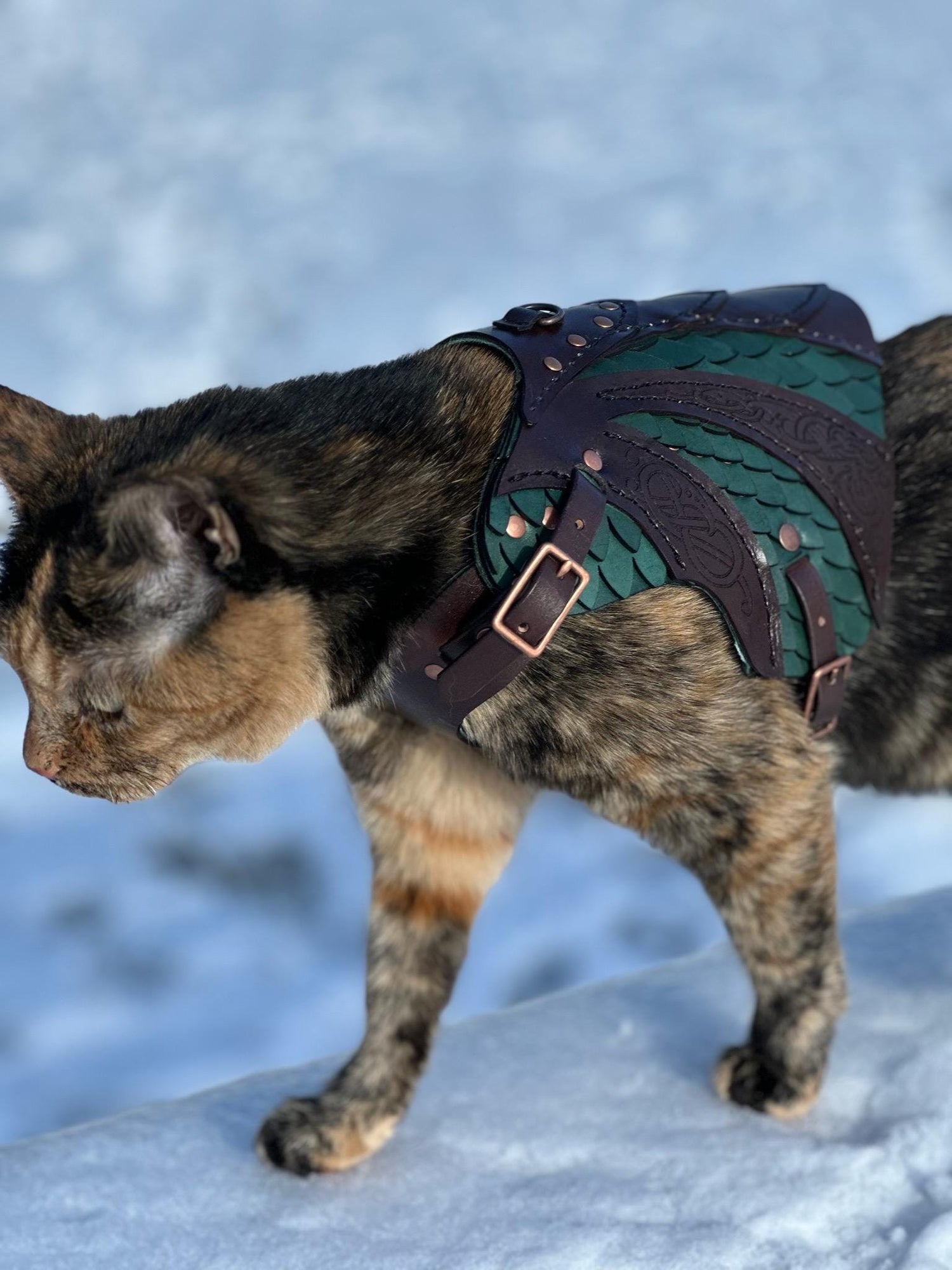 Olaf Leather CAT Harness Armor