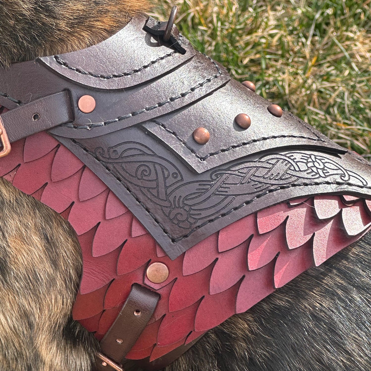 Dagmar Leather Cat Harness Armor