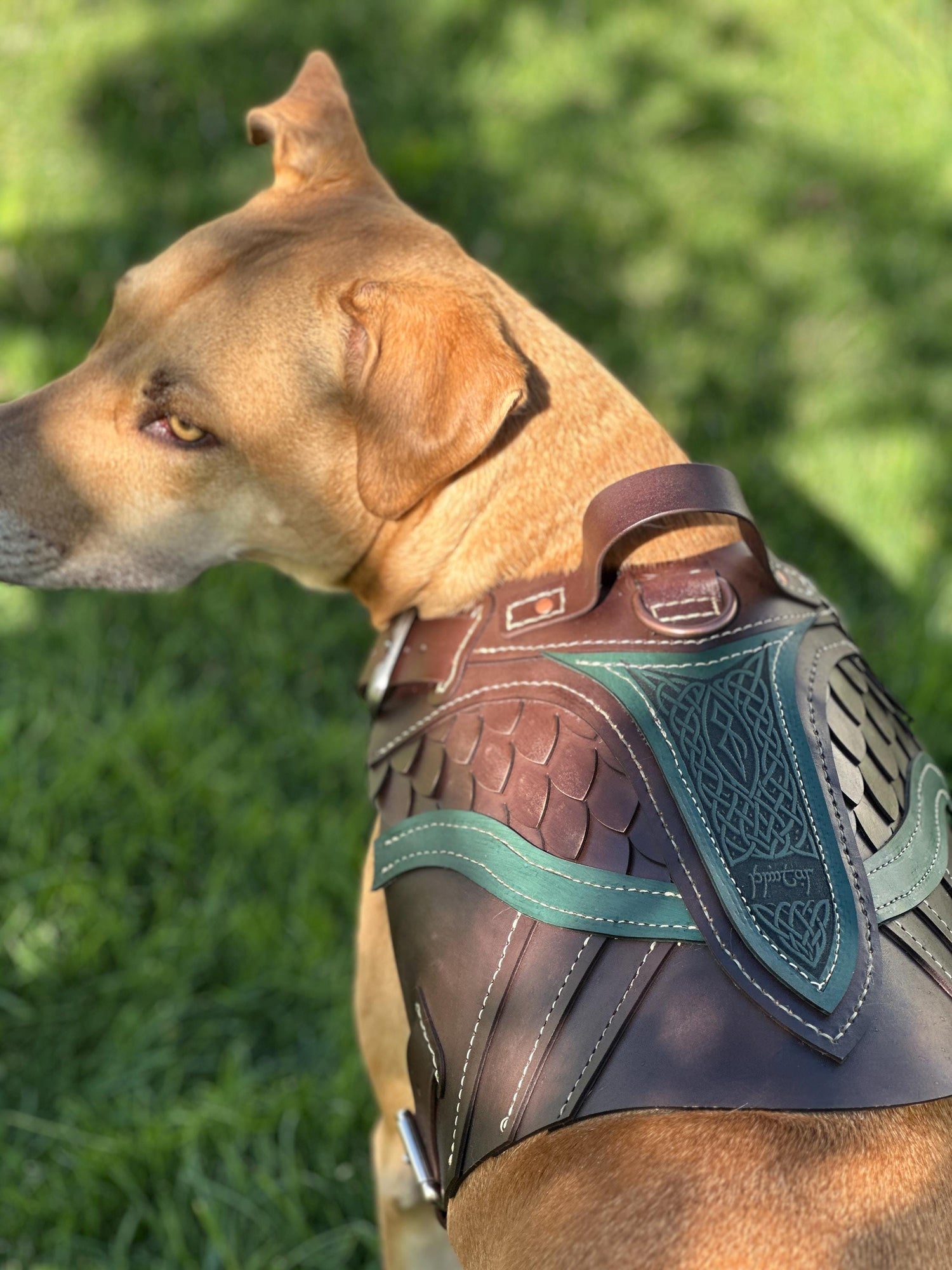 Brimstar Leather Dog Harness Armor