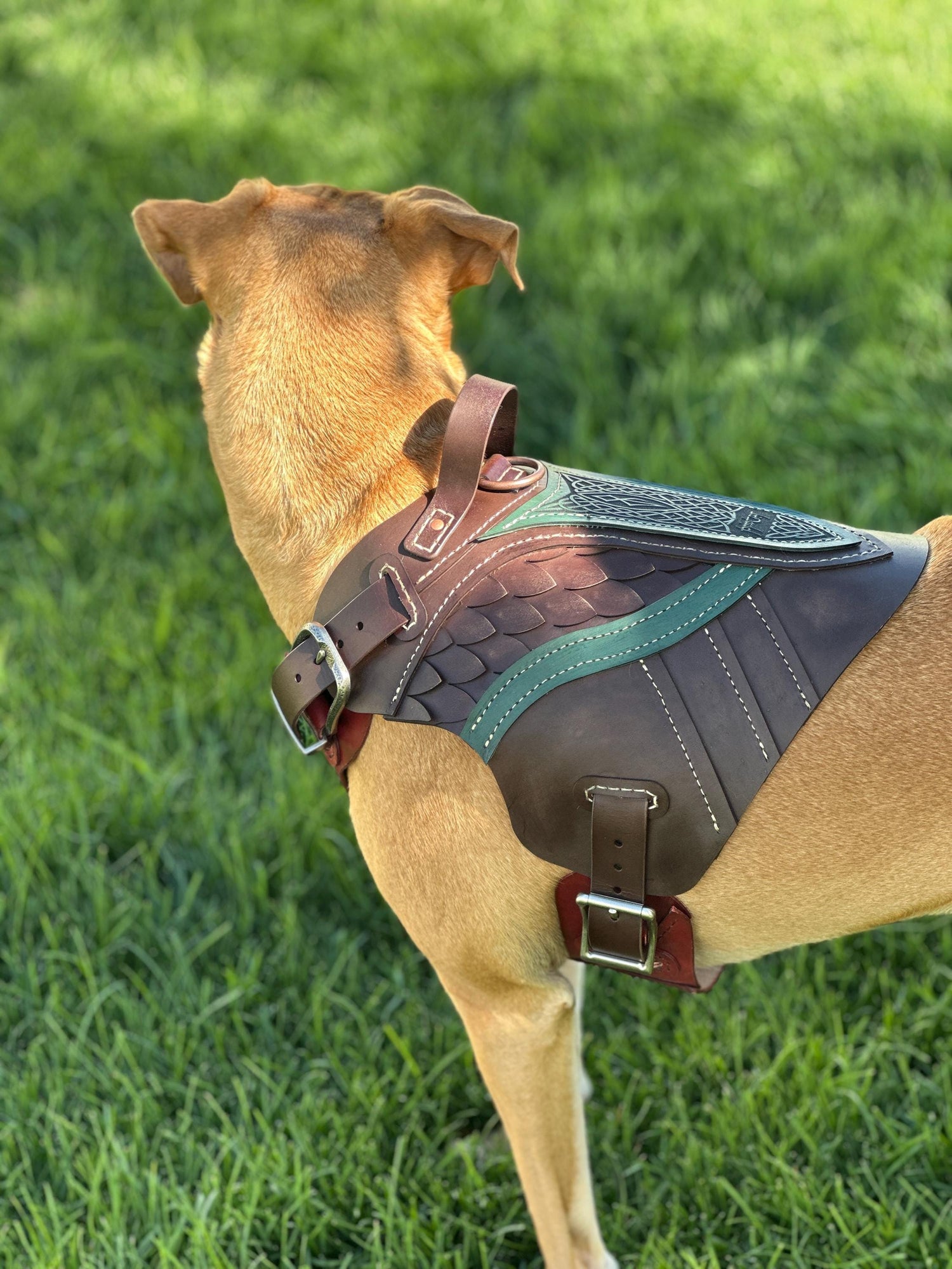 Brimstar Leather Dog Harness Armor