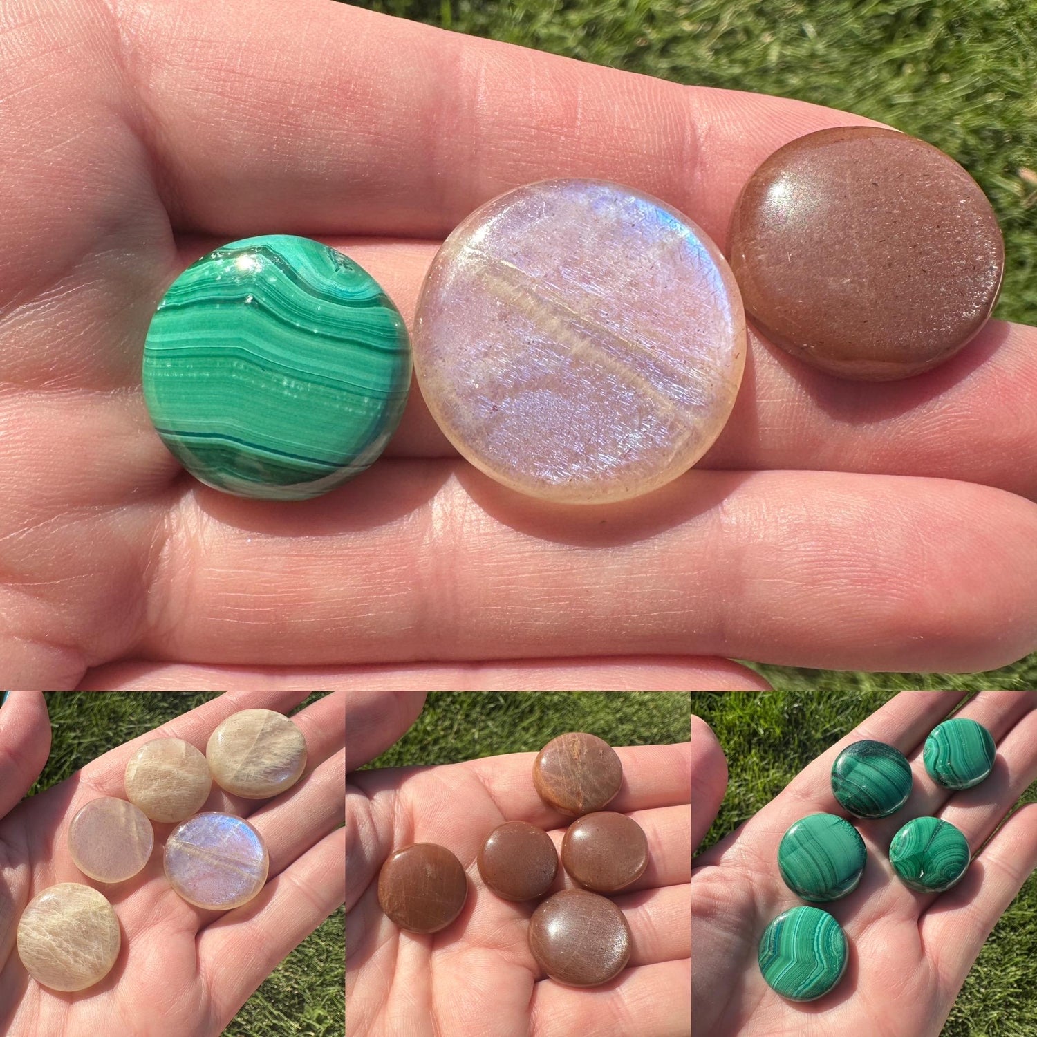 Brill Crystal & Leather Dog Harness Armor