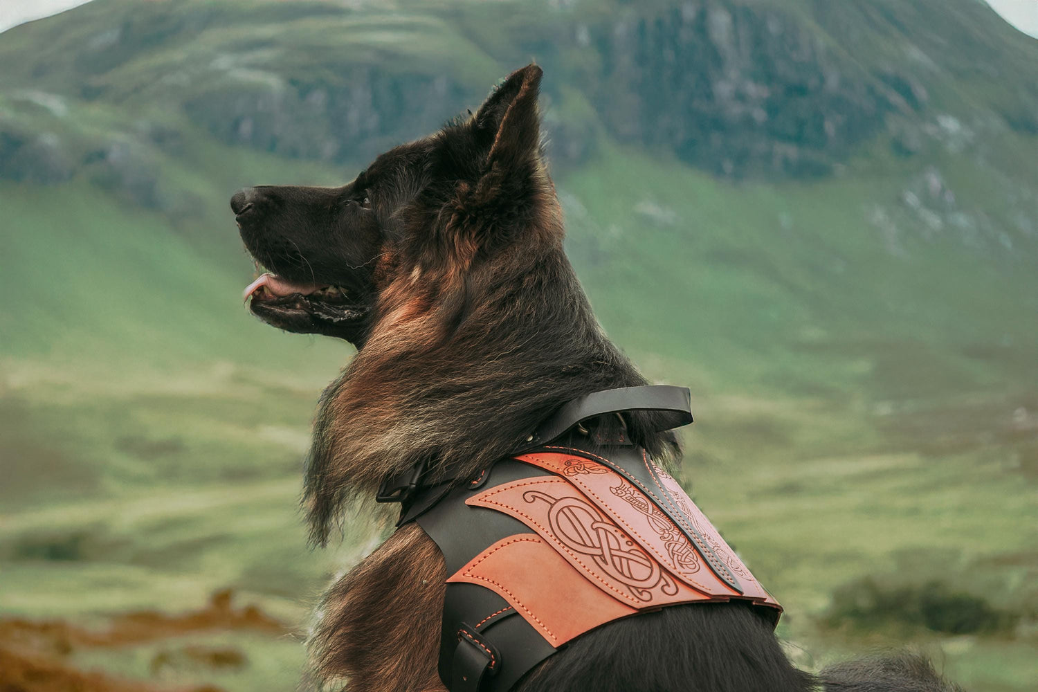 Delling Leather Dog Harness Armor
