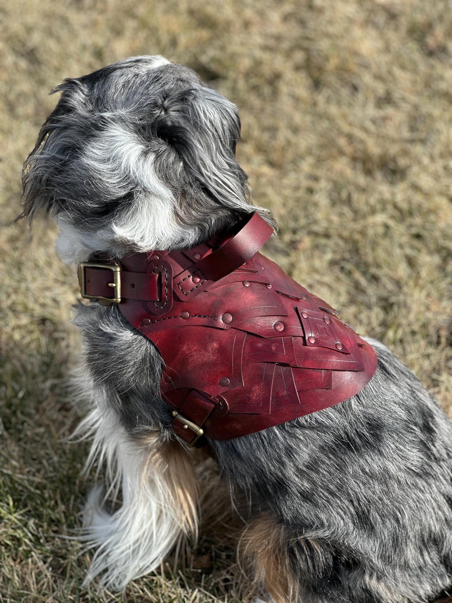 Dunamere Leather Dog Harness Armor