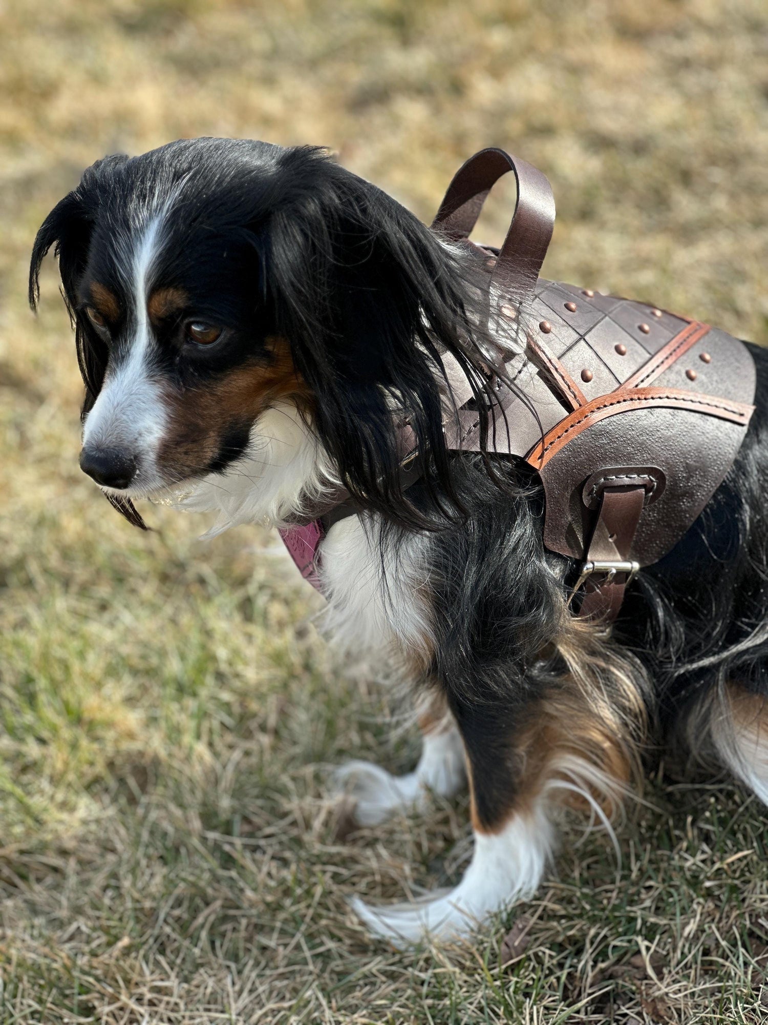 Bastion Leather Dog Harness Armor