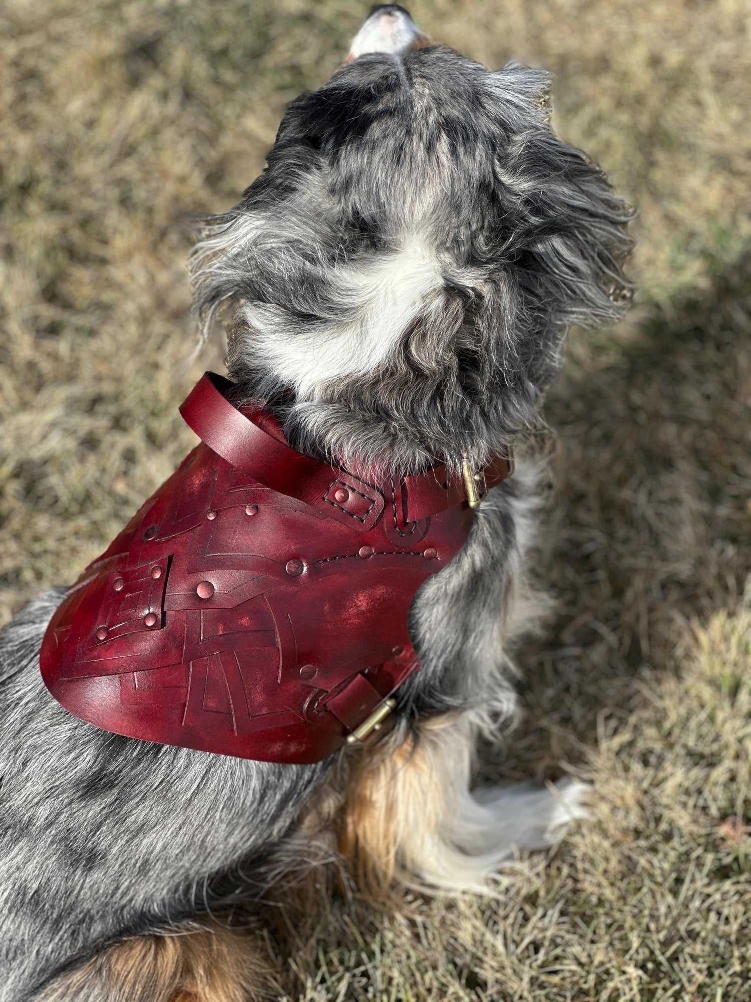 Dunamere Leather Dog Harness Armor