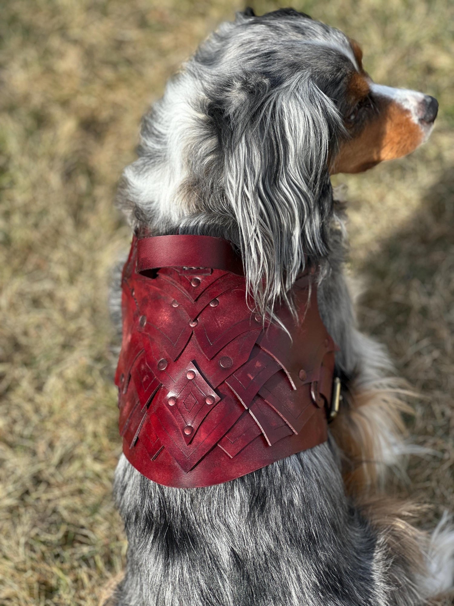 Dunamere Leather Dog Harness Armor