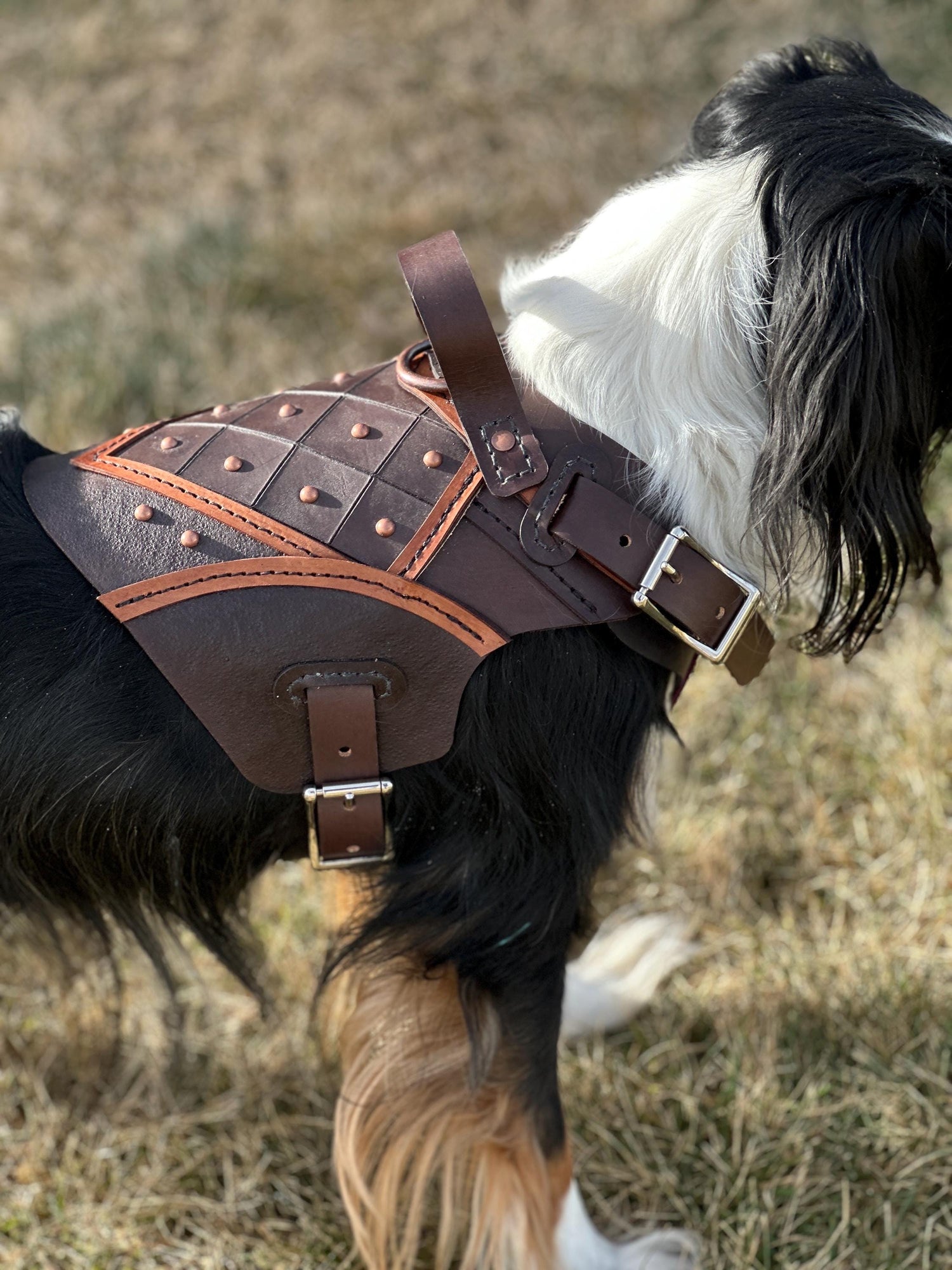 Bastion Leather Dog Harness Armor
