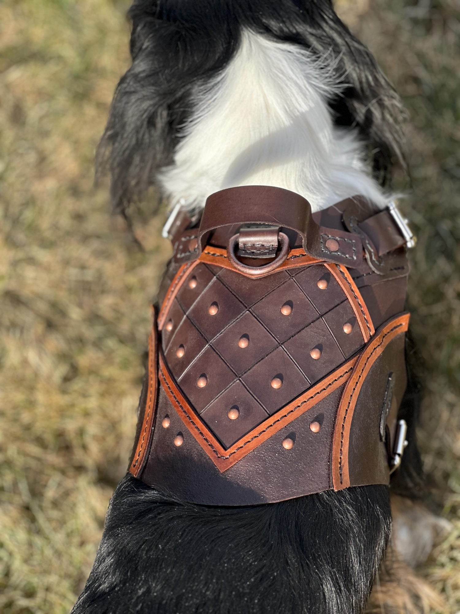 Bastion Leather Dog Harness Armor