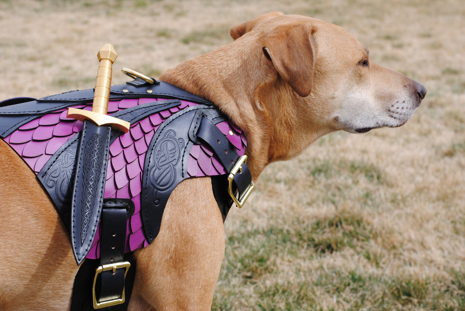 Olaf Leather Dog Harness Armor
