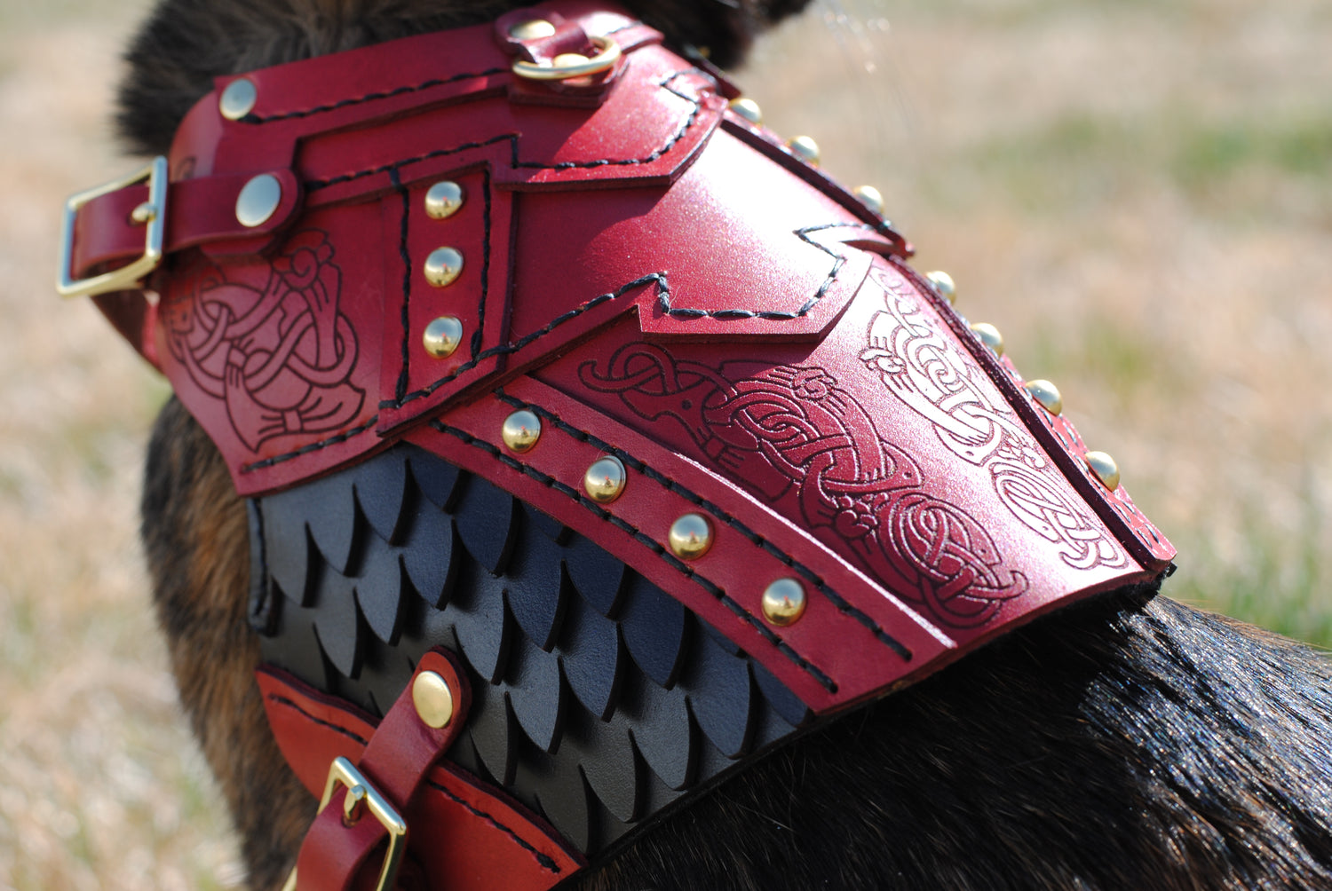 Frigga Leather Cat  Armor