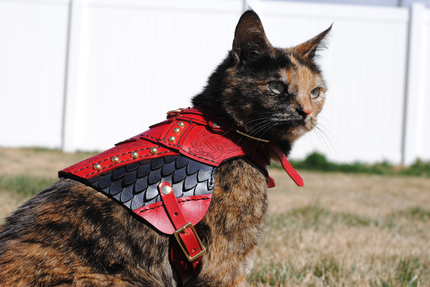 Frigga Leather Cat  Armor