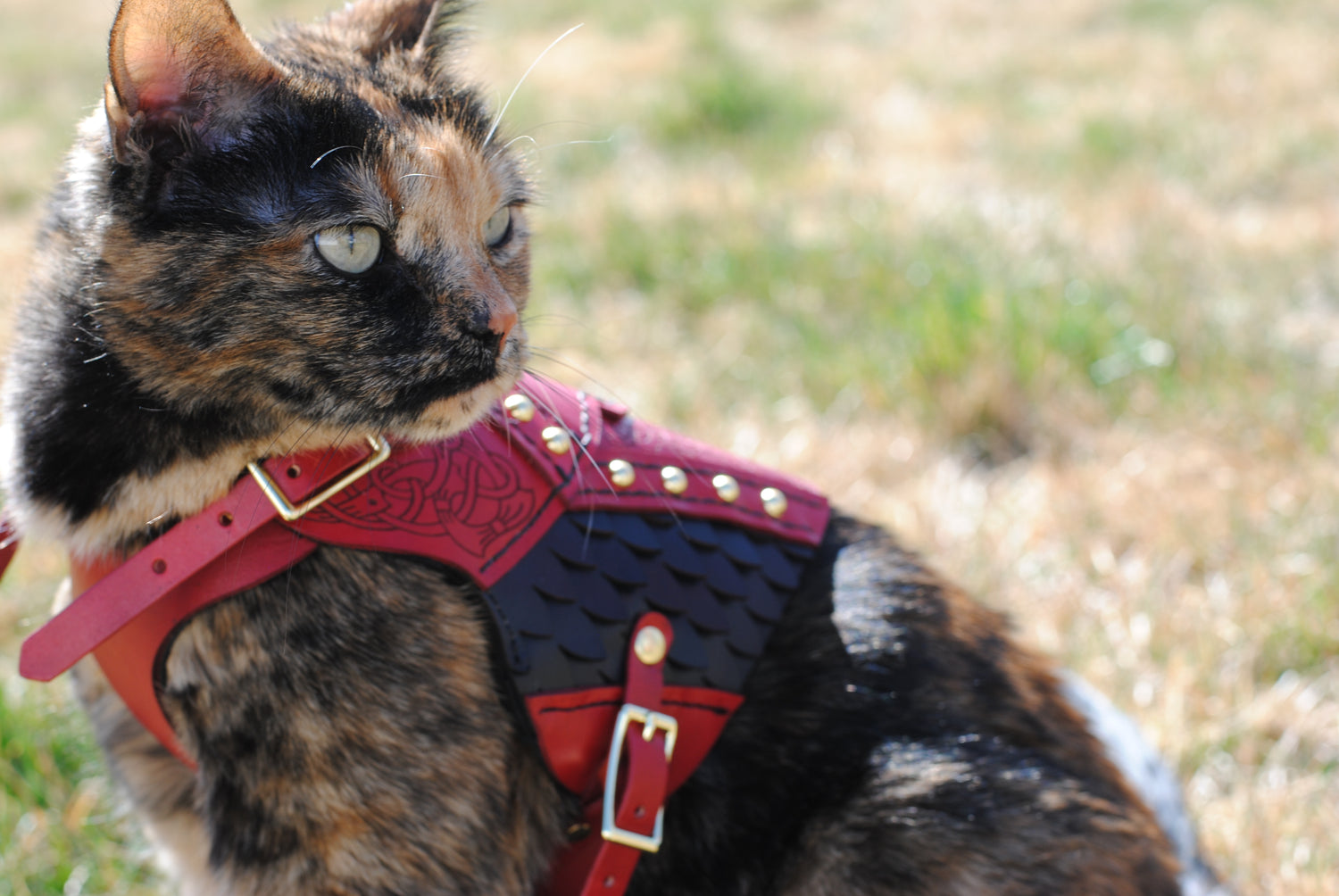 Frigga Leather Cat  Armor