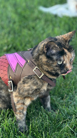 Skeldryn Leather Cat  Armor