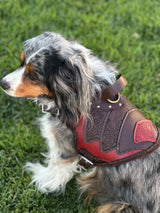 Njord Leather Dog Harness Armor
