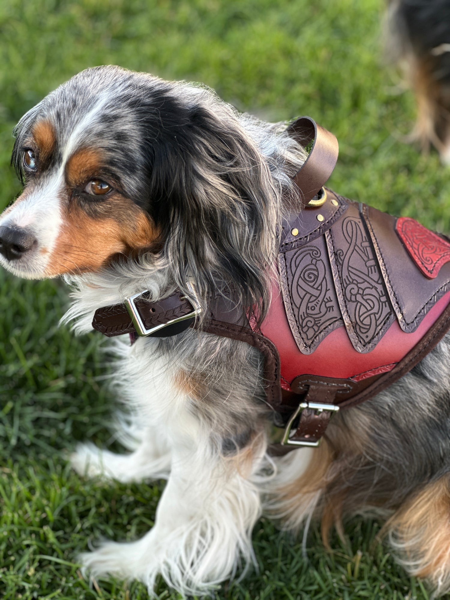 Njord Leather Dog Harness Armor